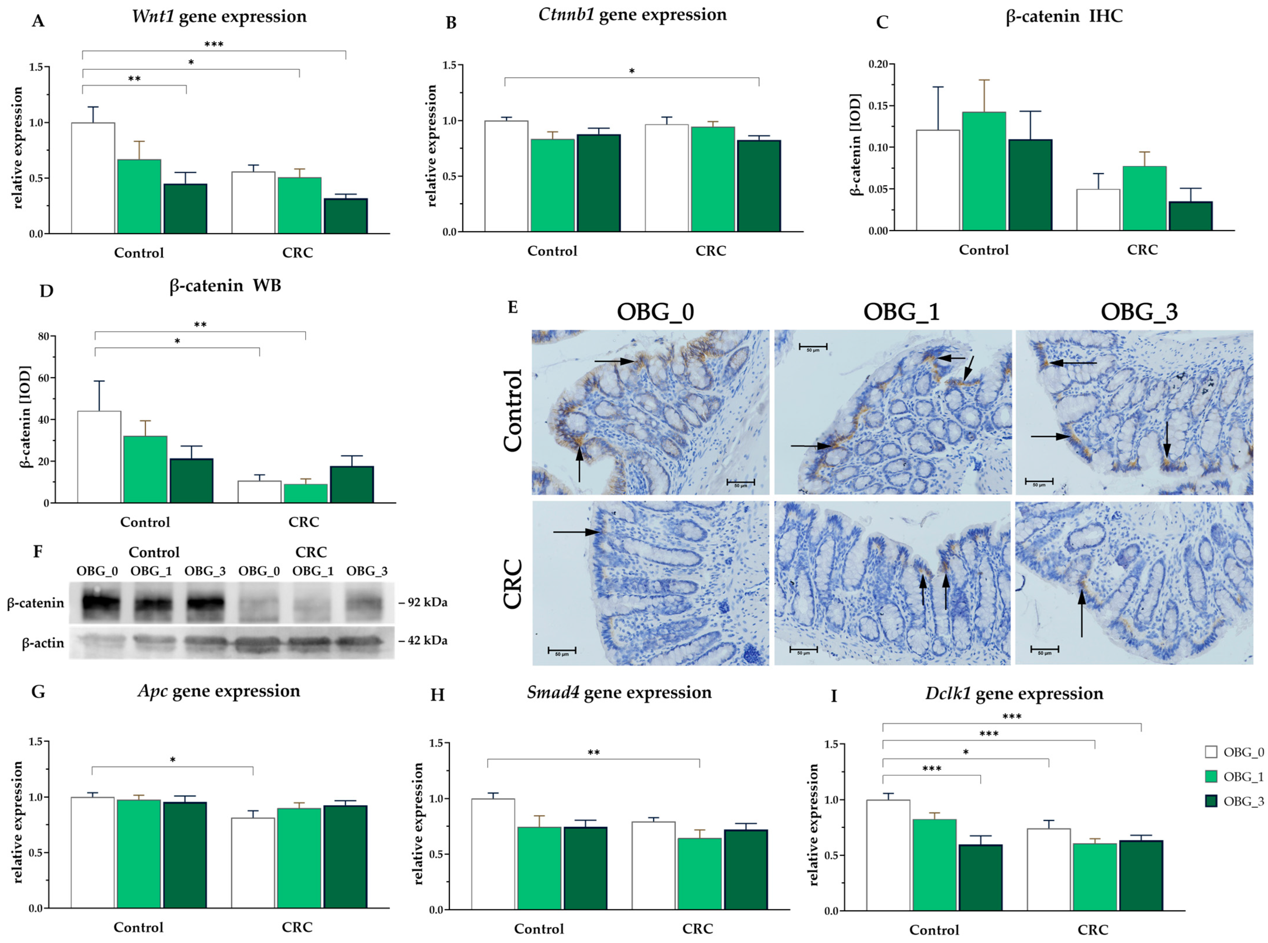 Nutrients 16 01125 g005 Nutrients 16 01125 g005