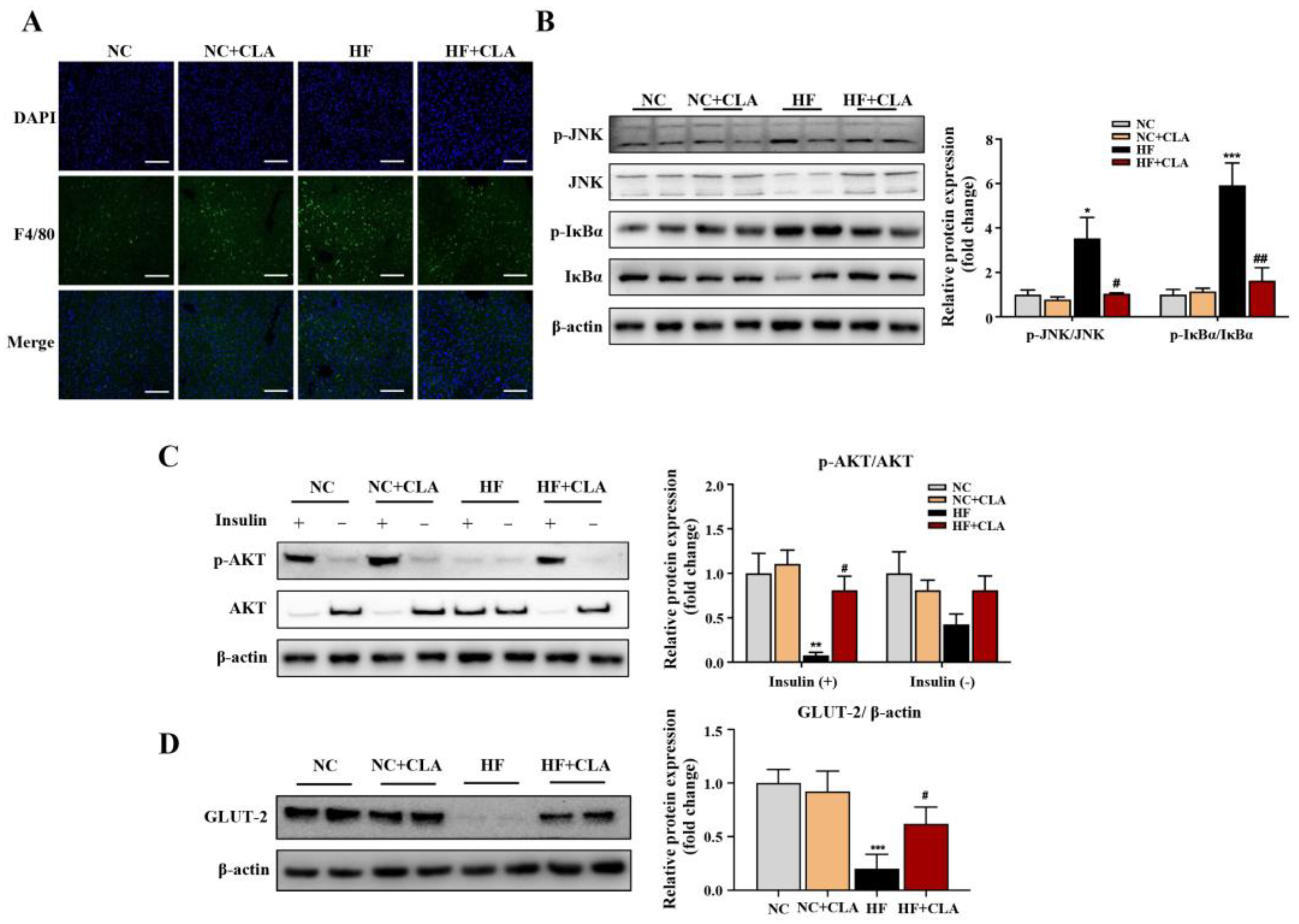 Nutrients 16 01133 g004