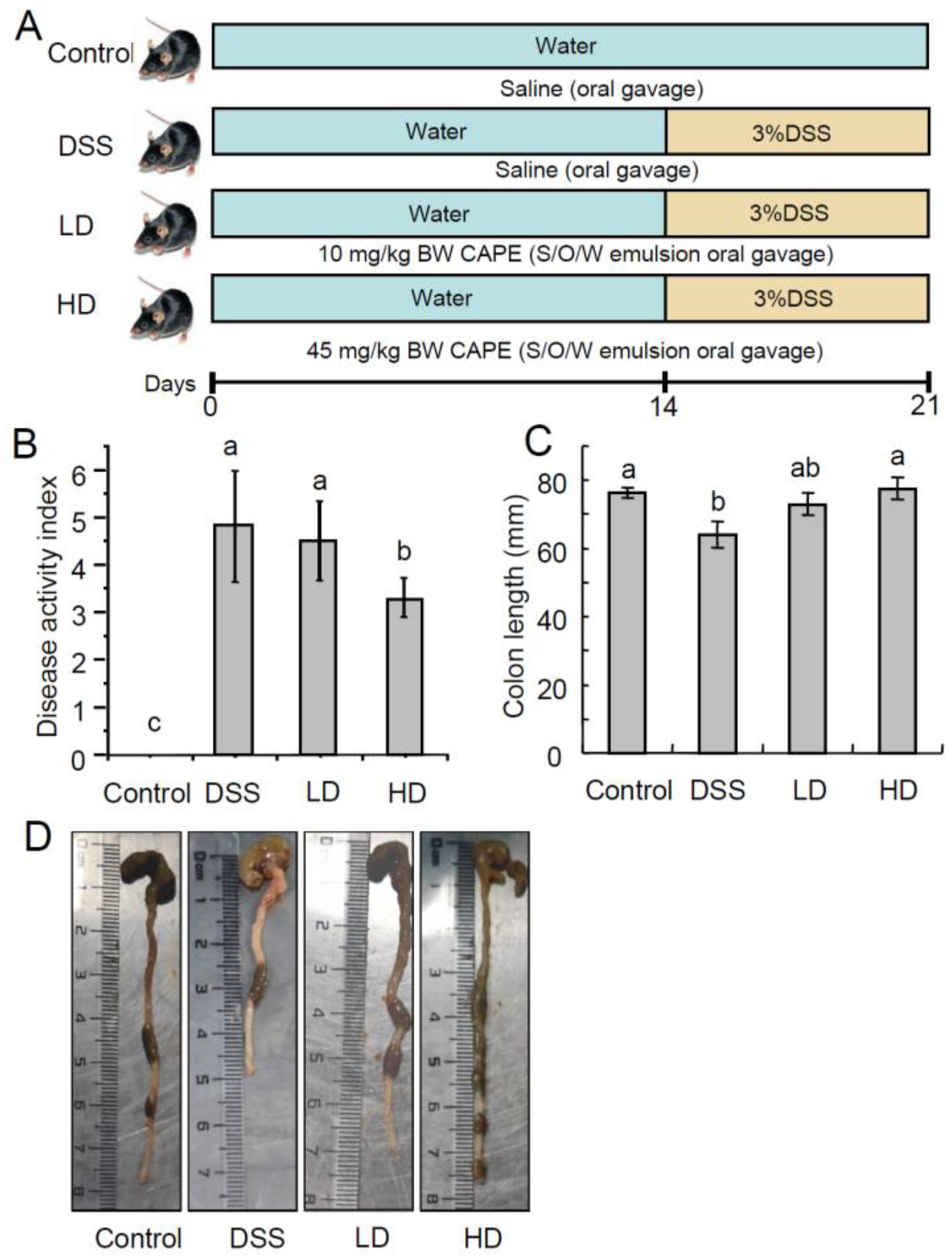 Nutrients 16 01145 g001