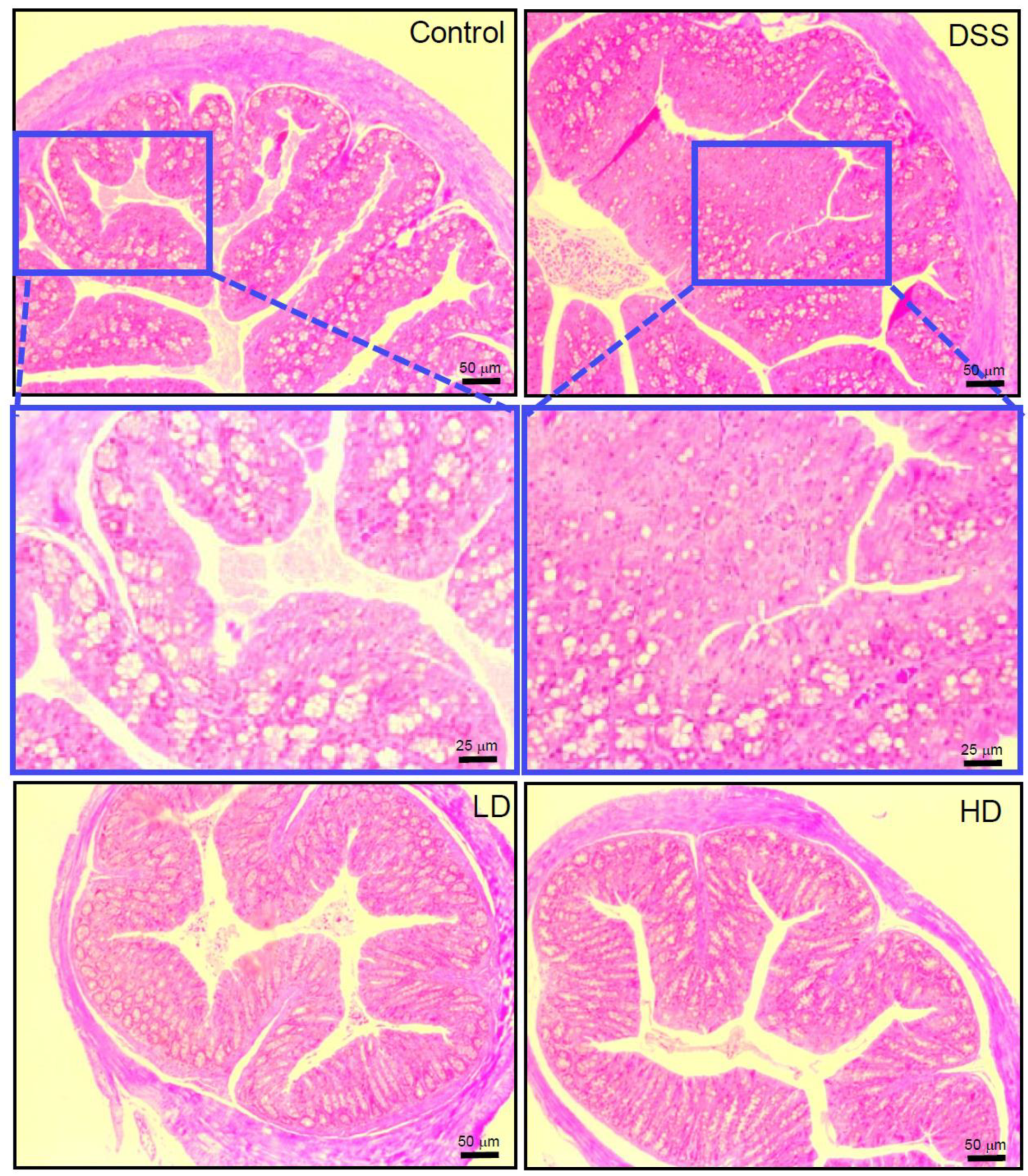 Nutrients 16 01145 g002