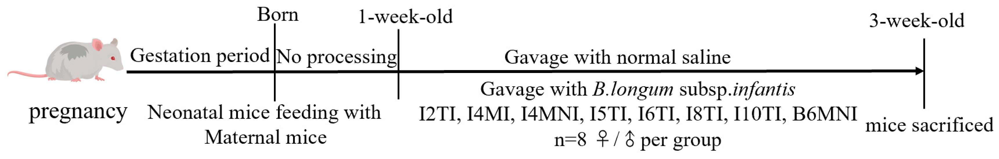 Nutrients 16 01148 g001