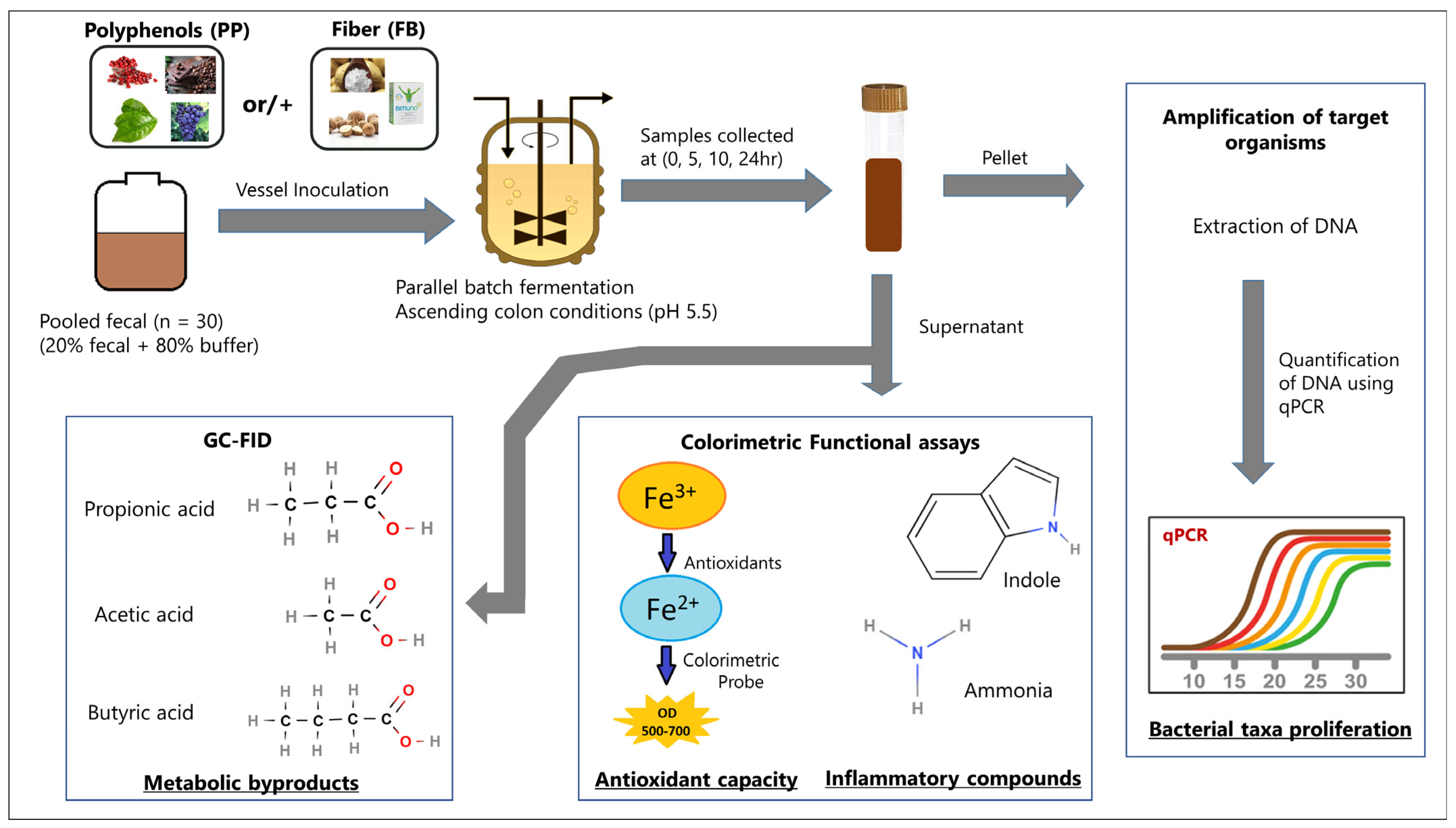 Nutrients 16 01159 g001