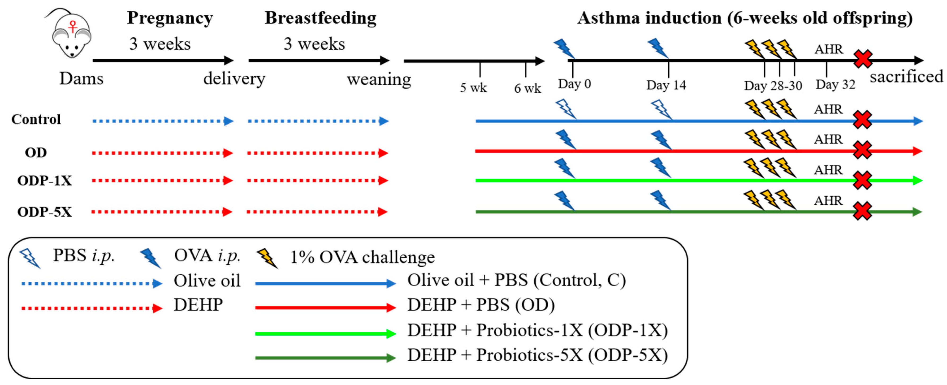 Nutrients 16 01160 g001 Nutrients 16 01160 g001