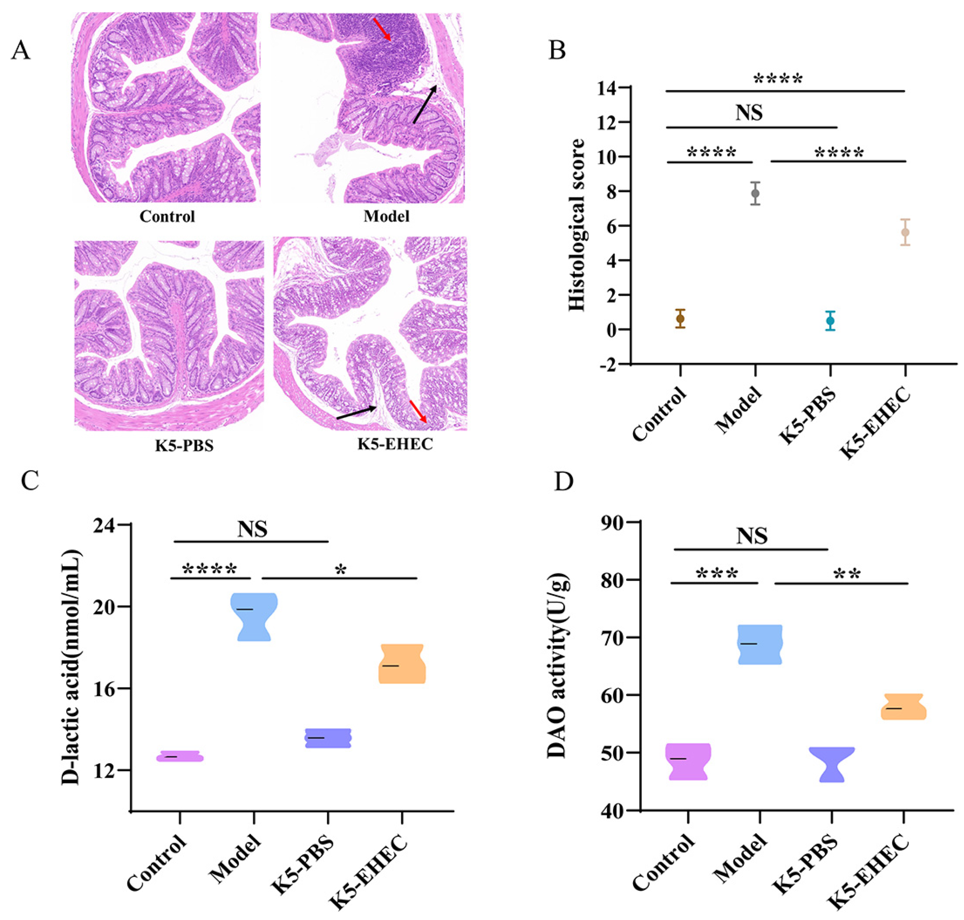 Nutrients 16 01164 g002