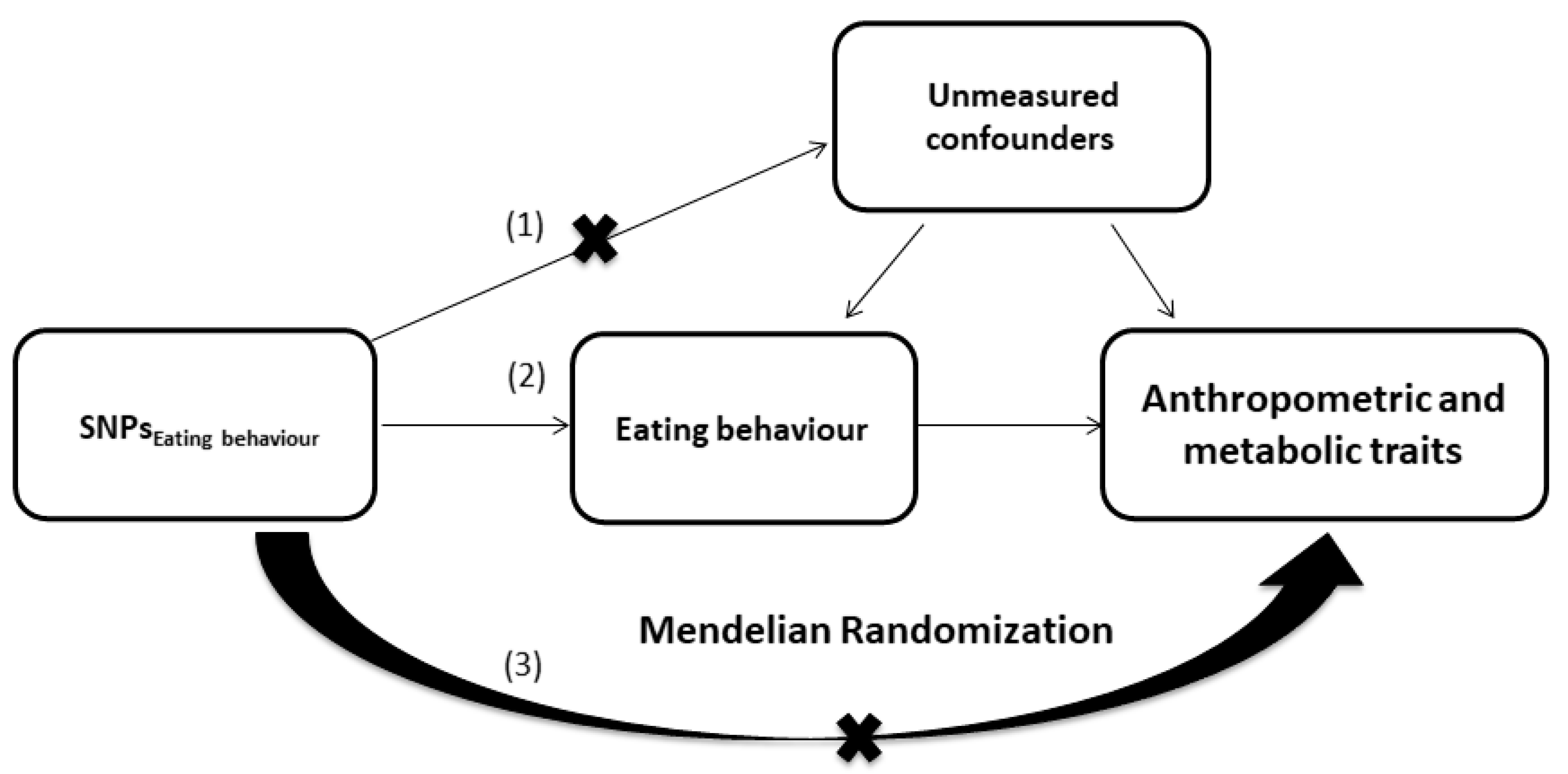 Nutrients 16 01166 g001 Nutrients 16 01166 g001