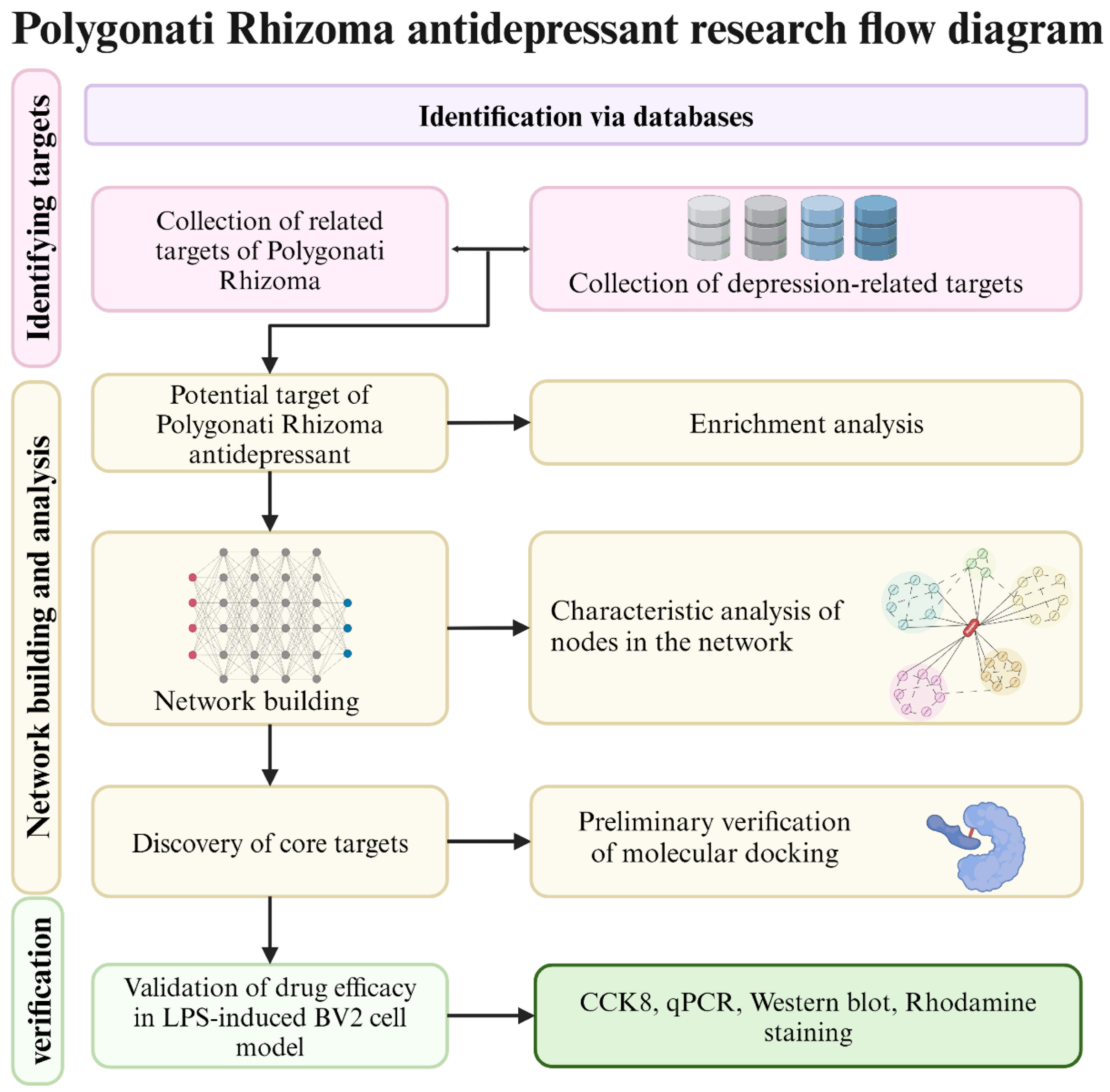 Nutrients 16 01167 g001