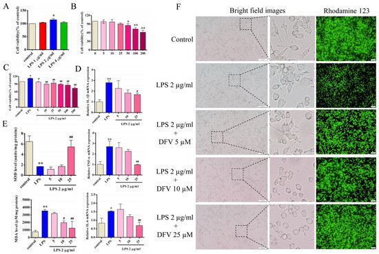 Interpreting the Mechanism of Active Ingredients in