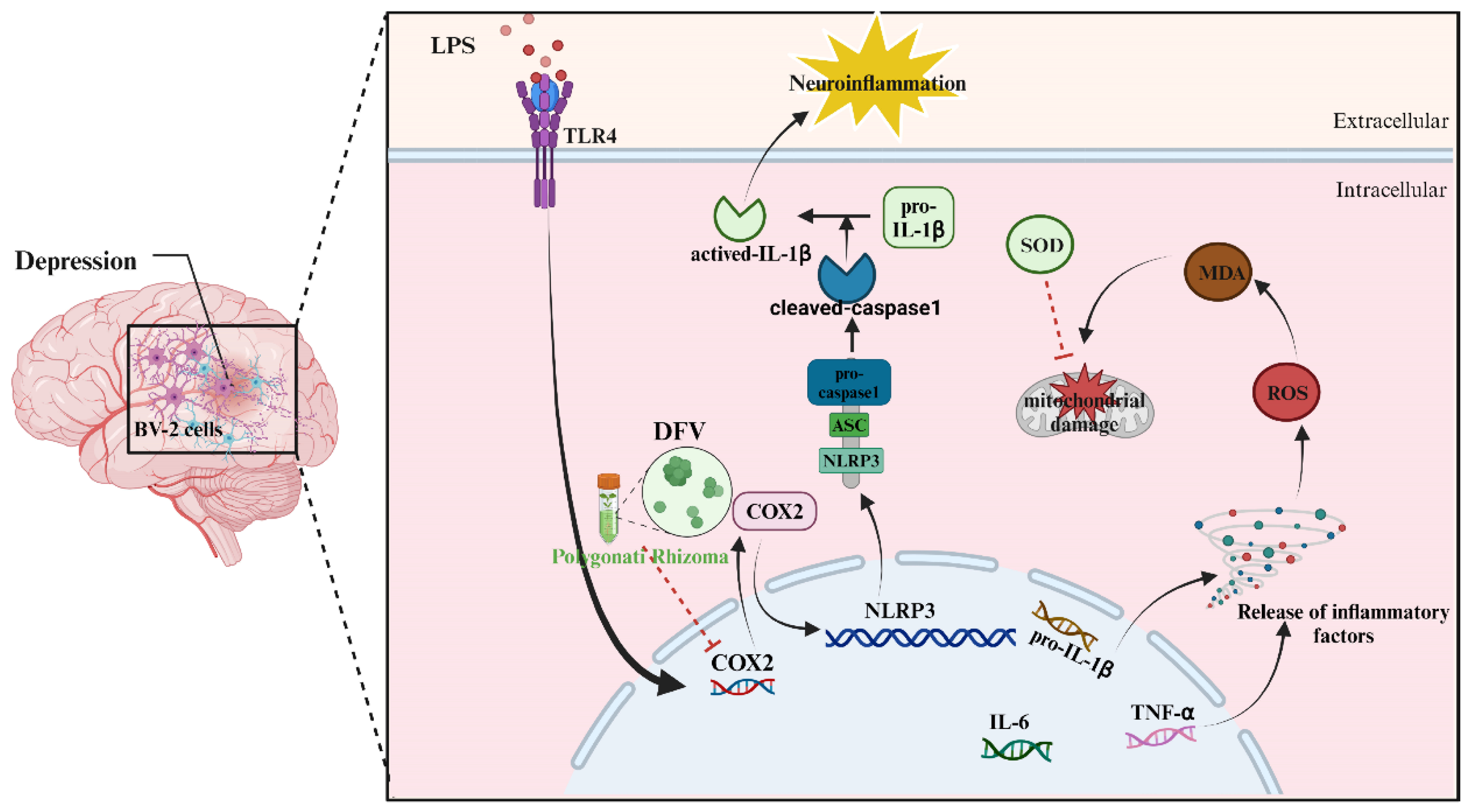 Nutrients 16 01167 g008
