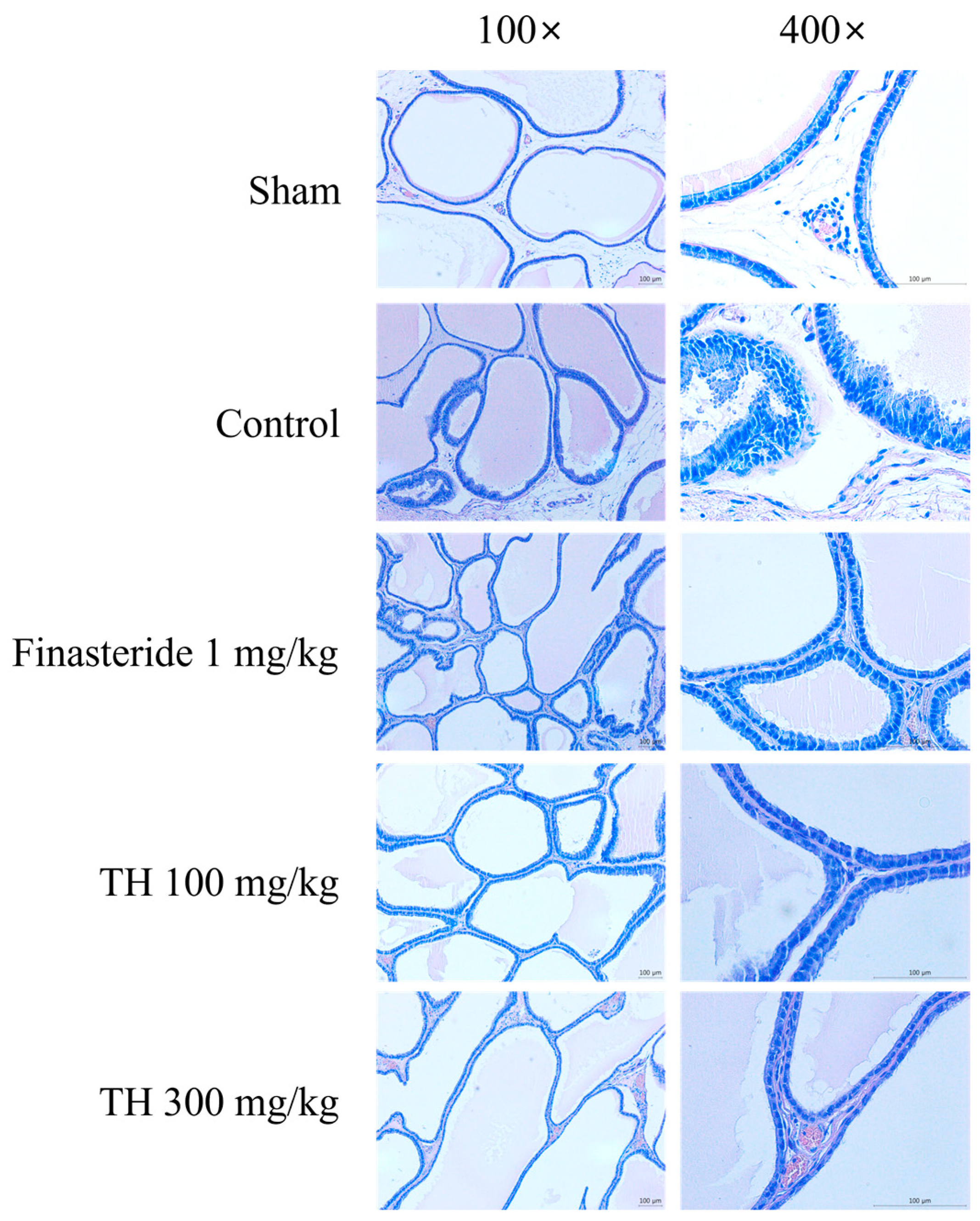 Nutrients 16 01189 g003