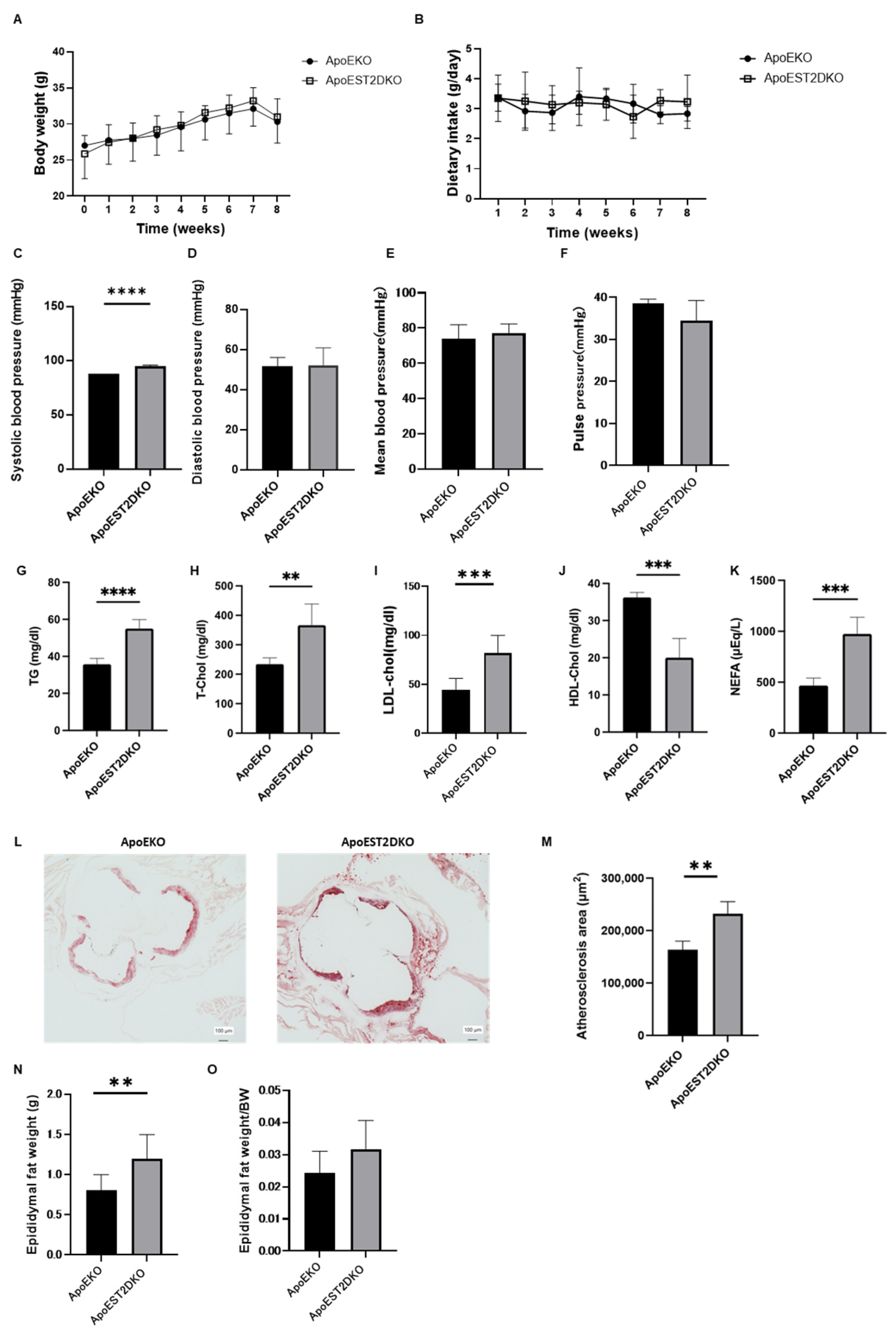 Nutrients 16 01195 g001