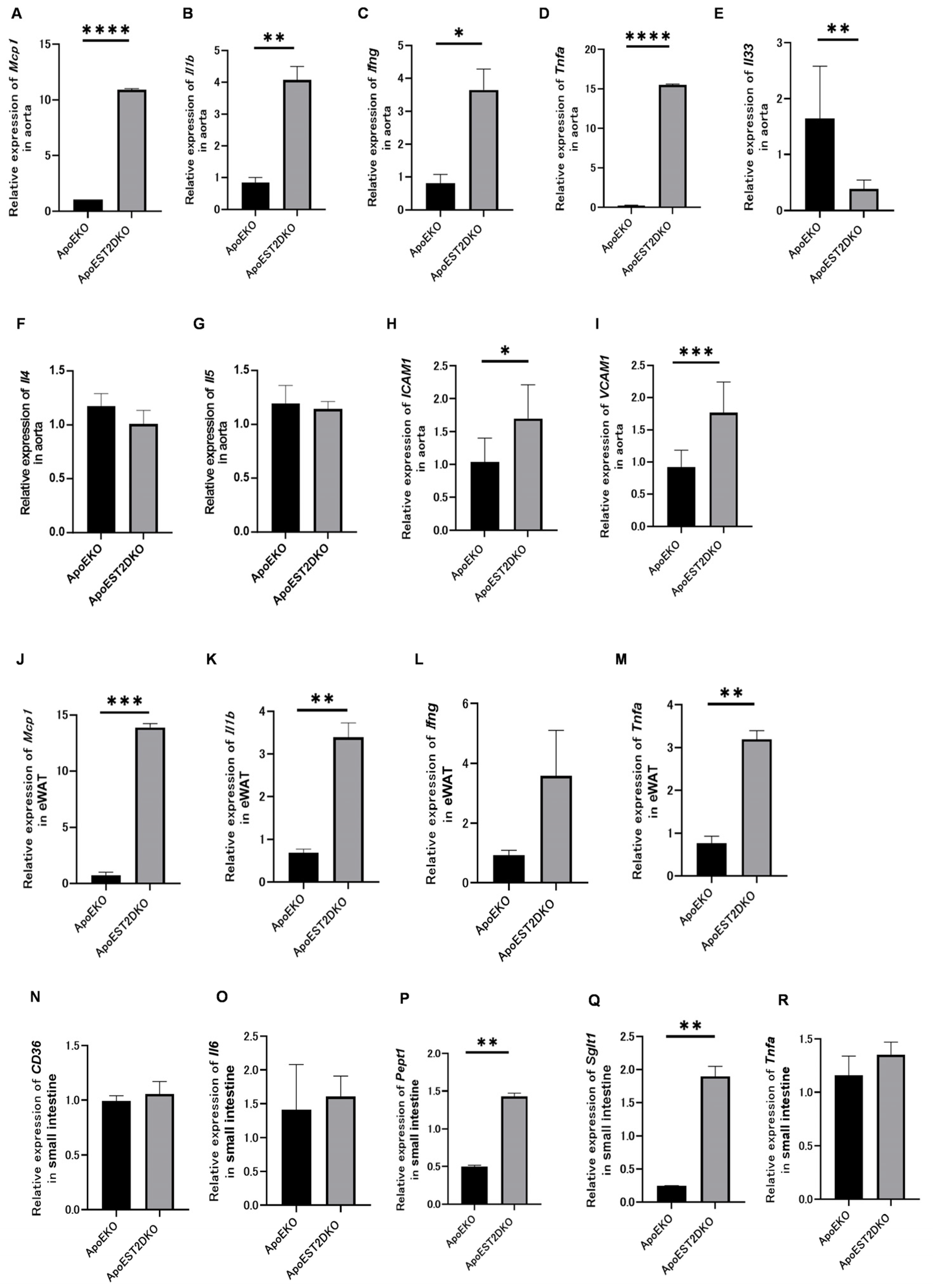 Nutrients 16 01195 g004