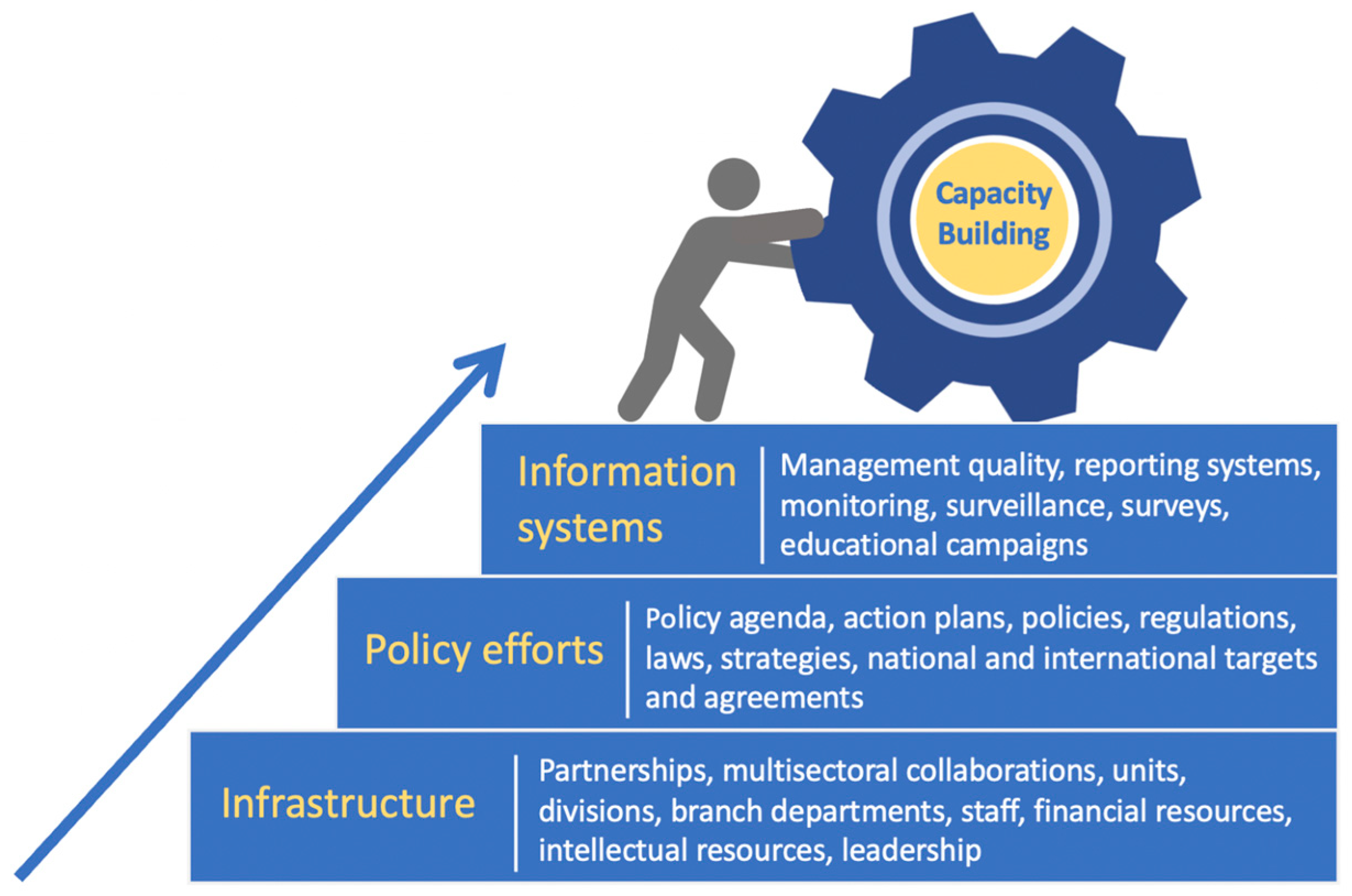 Nutrients 16 01202 g001