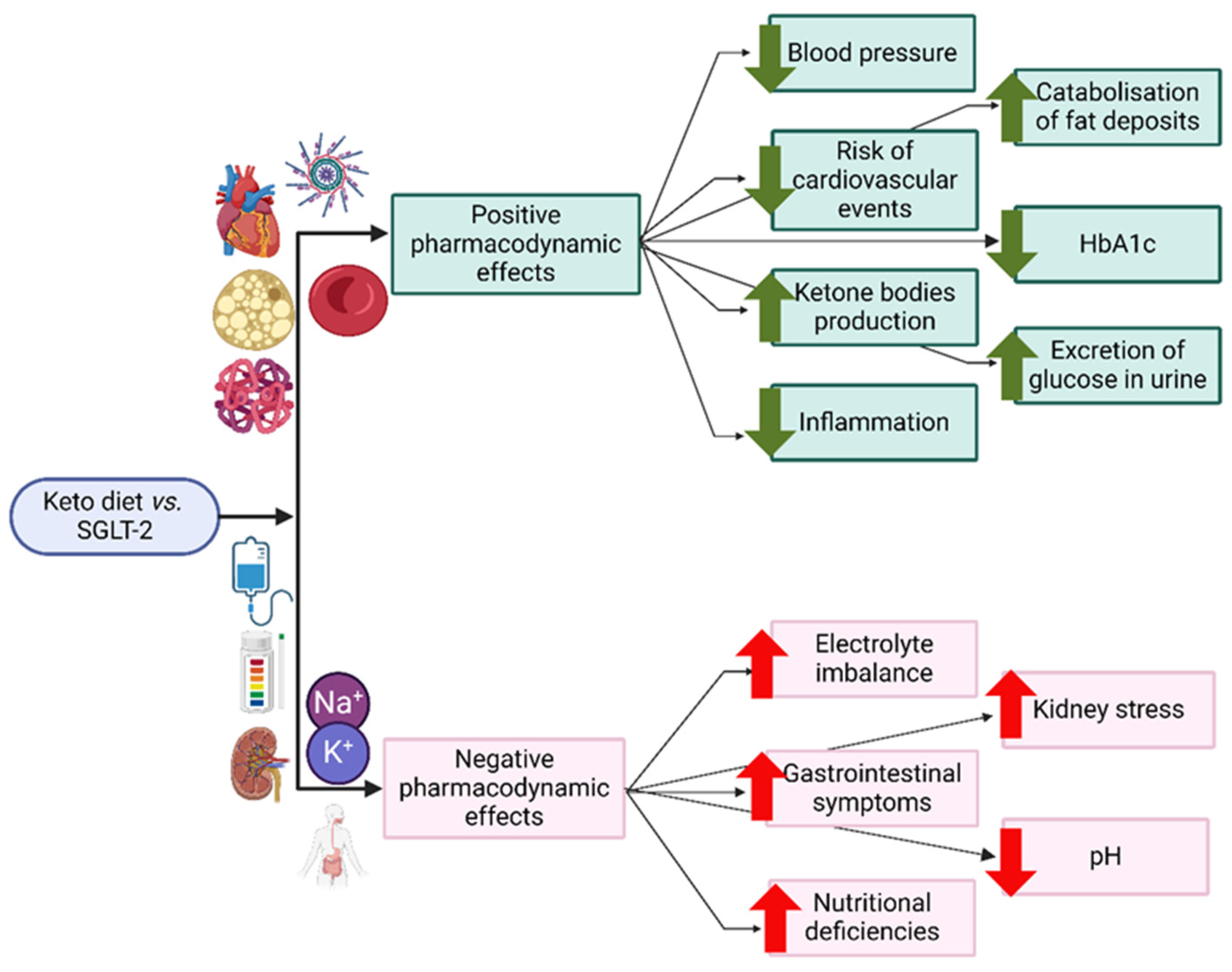 Nutrients 16 01213 g002 Nutrients 16 01213 g002