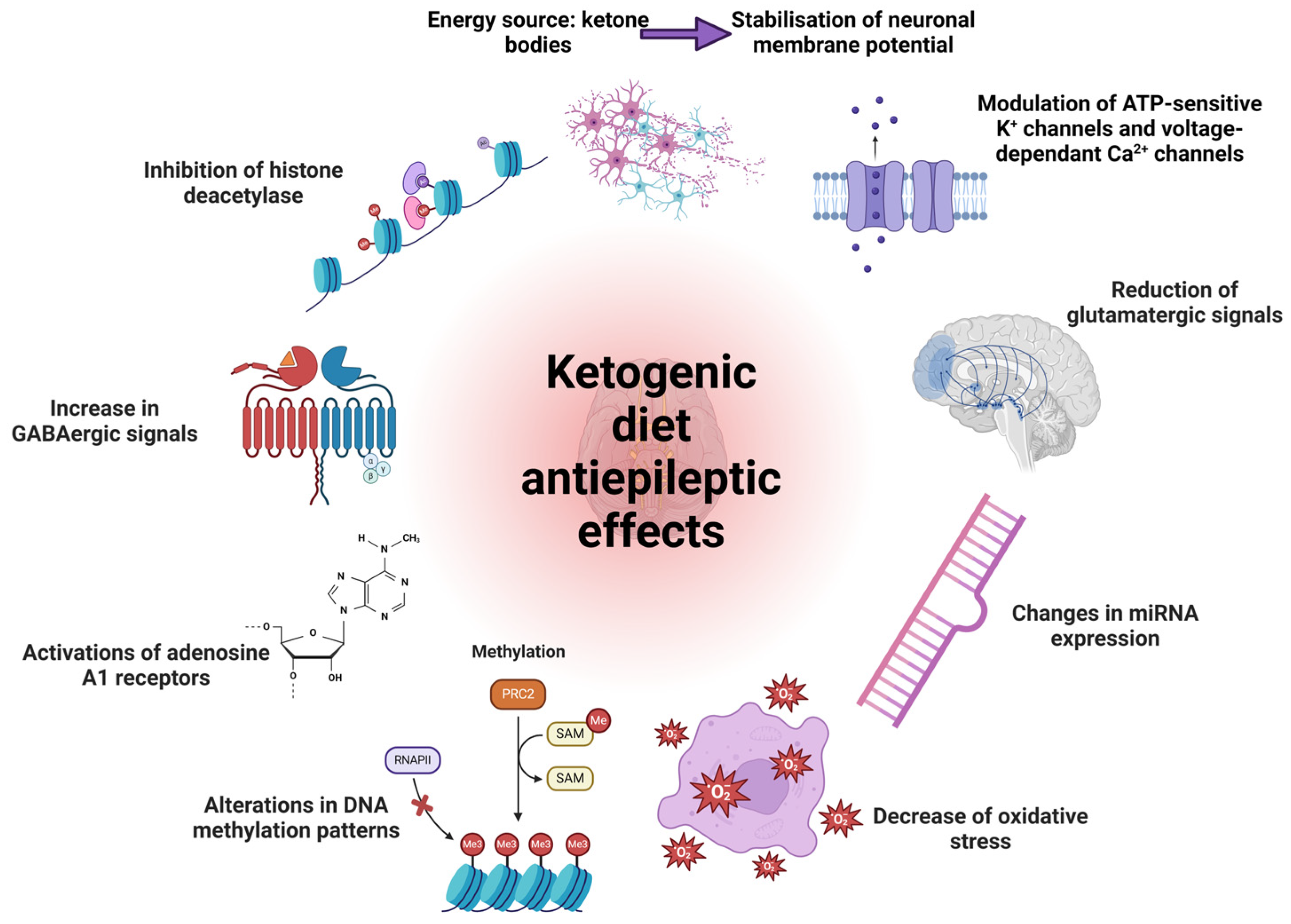 Nutrients 16 01213 g004 Nutrients 16 01213 g004