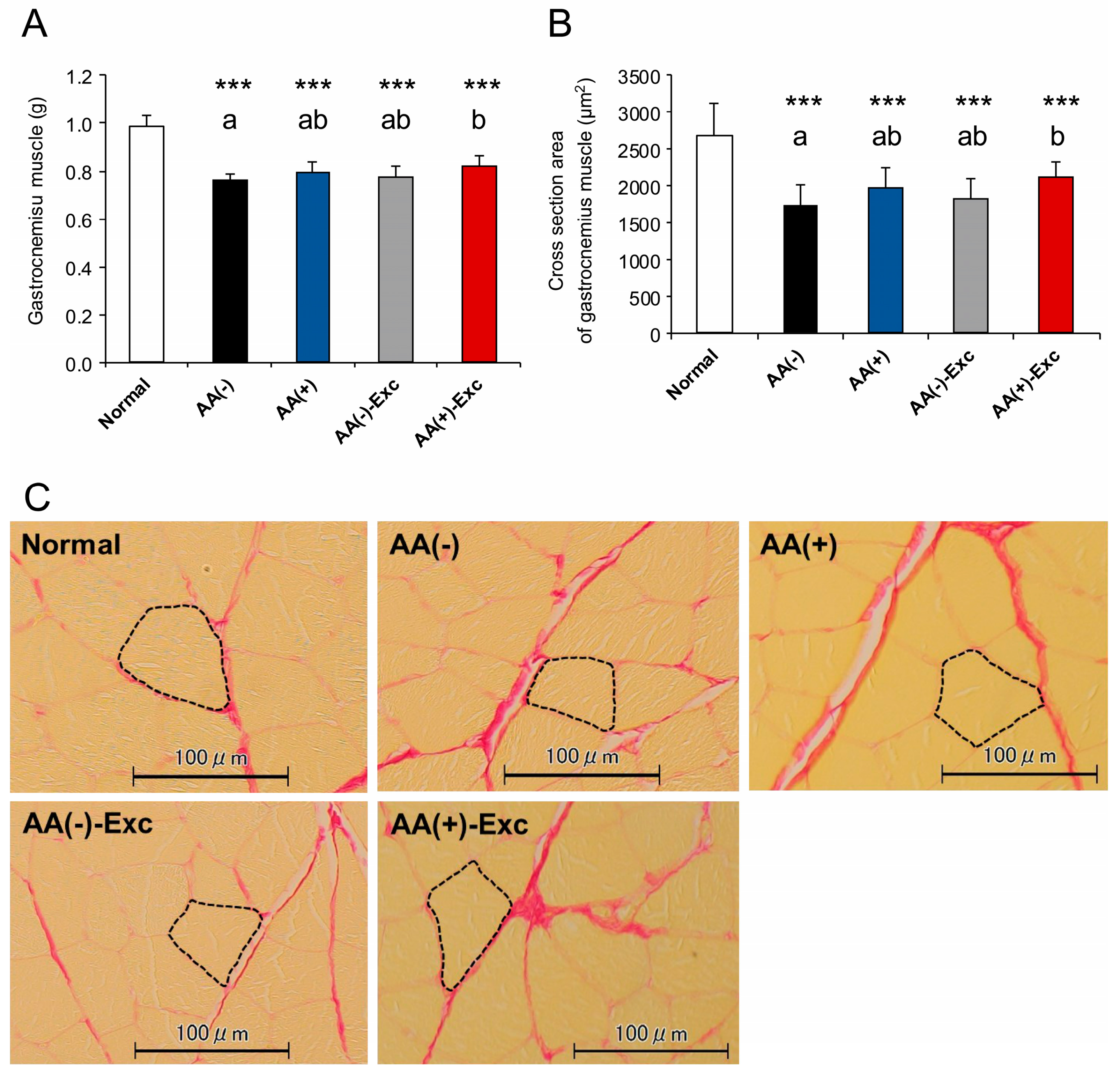 Nutrients 16 01218 g002