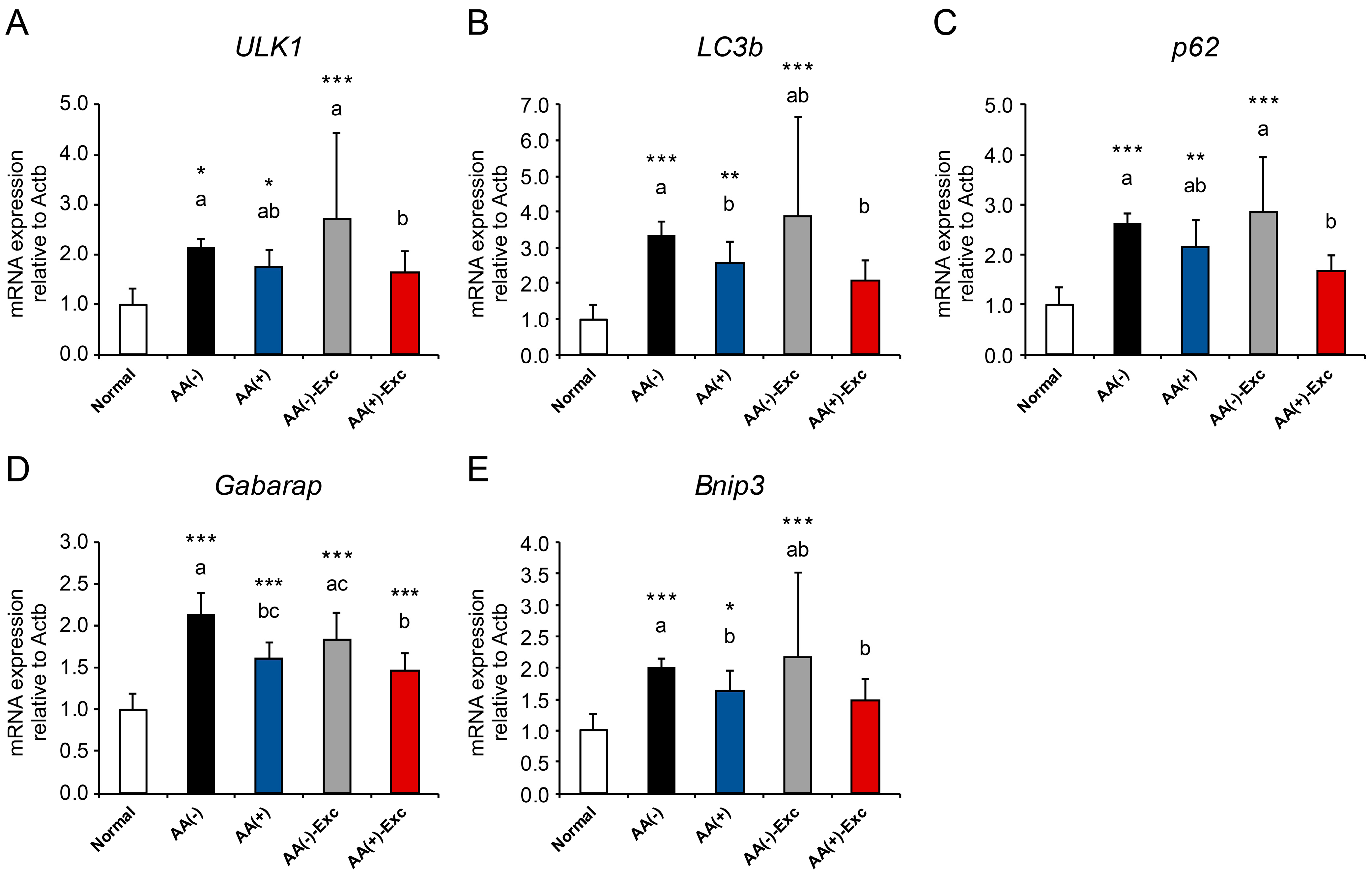 Nutrients 16 01218 g005