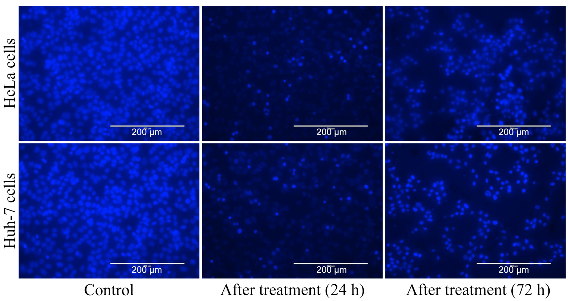 Nutrients 16 01222 g005