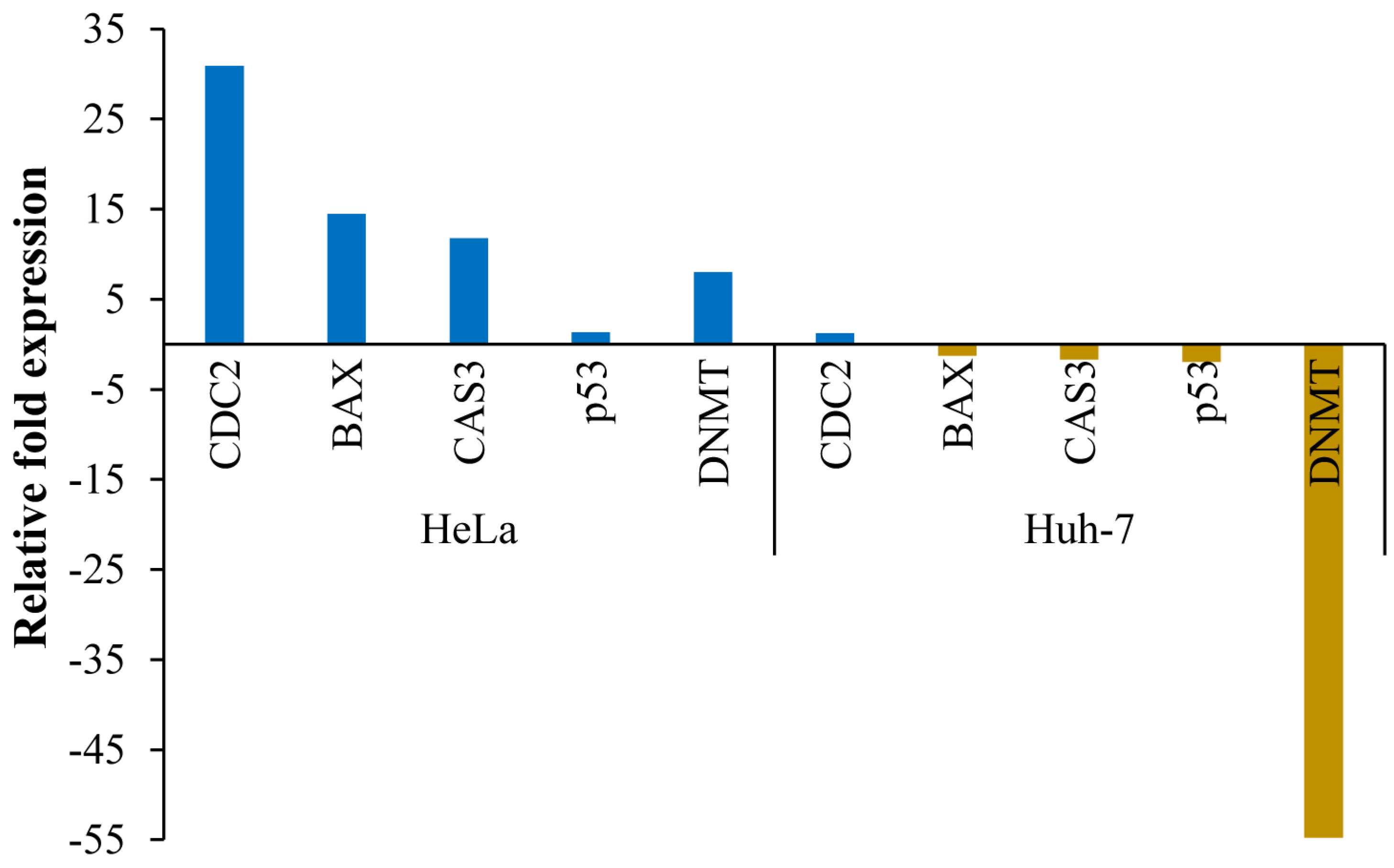 Nutrients 16 01222 g006