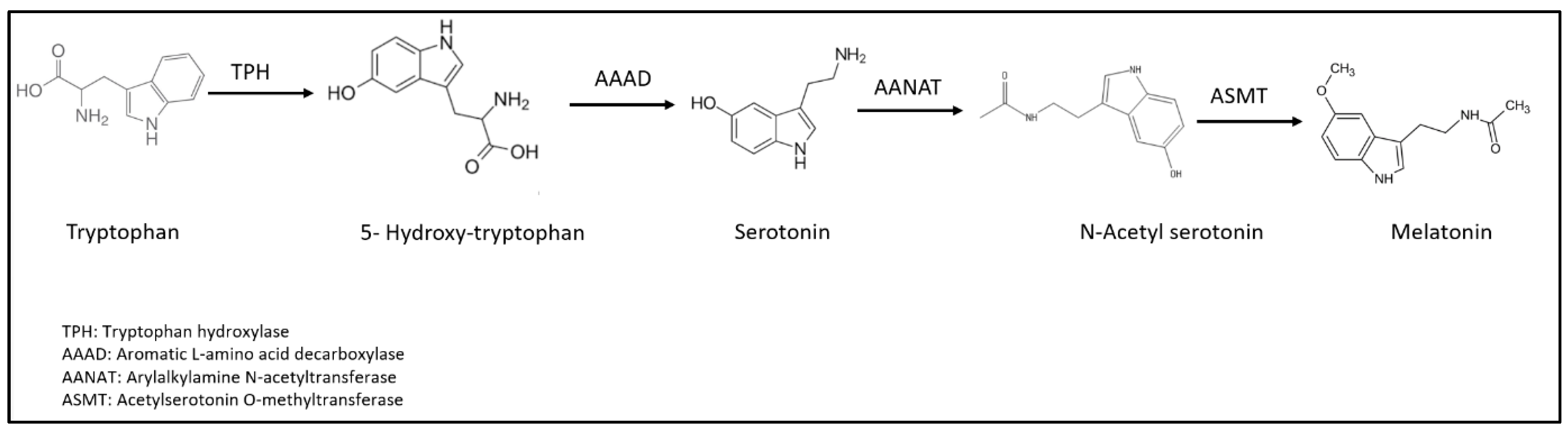 Nutrients 16 01236 g001