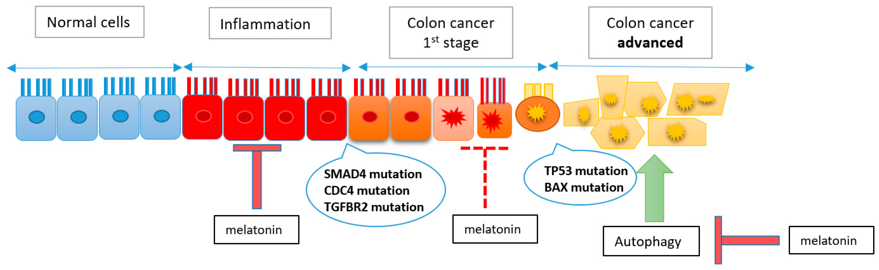 Nutrients 16 01236 g004
