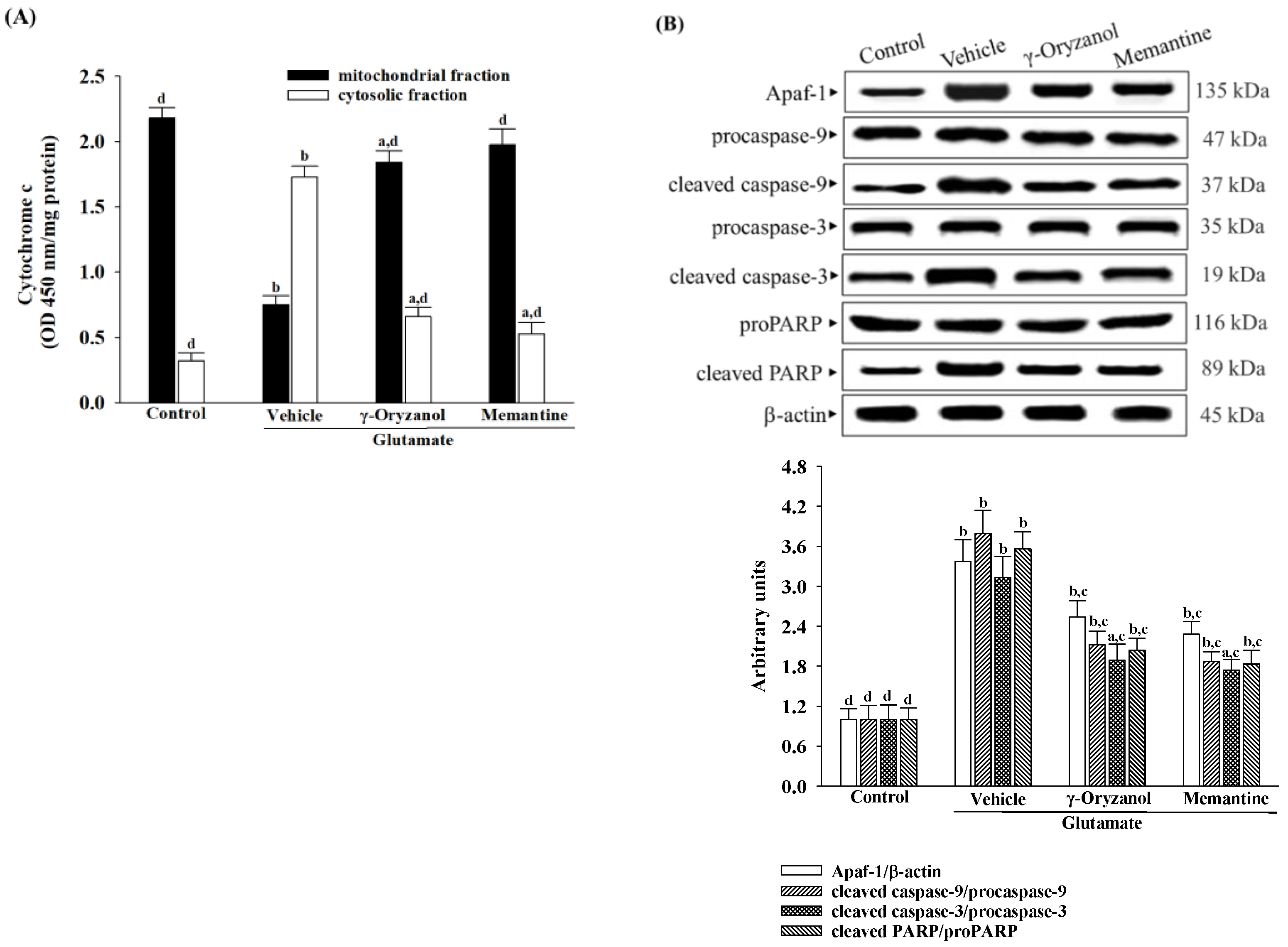 Nutrients 16 01237 g007
