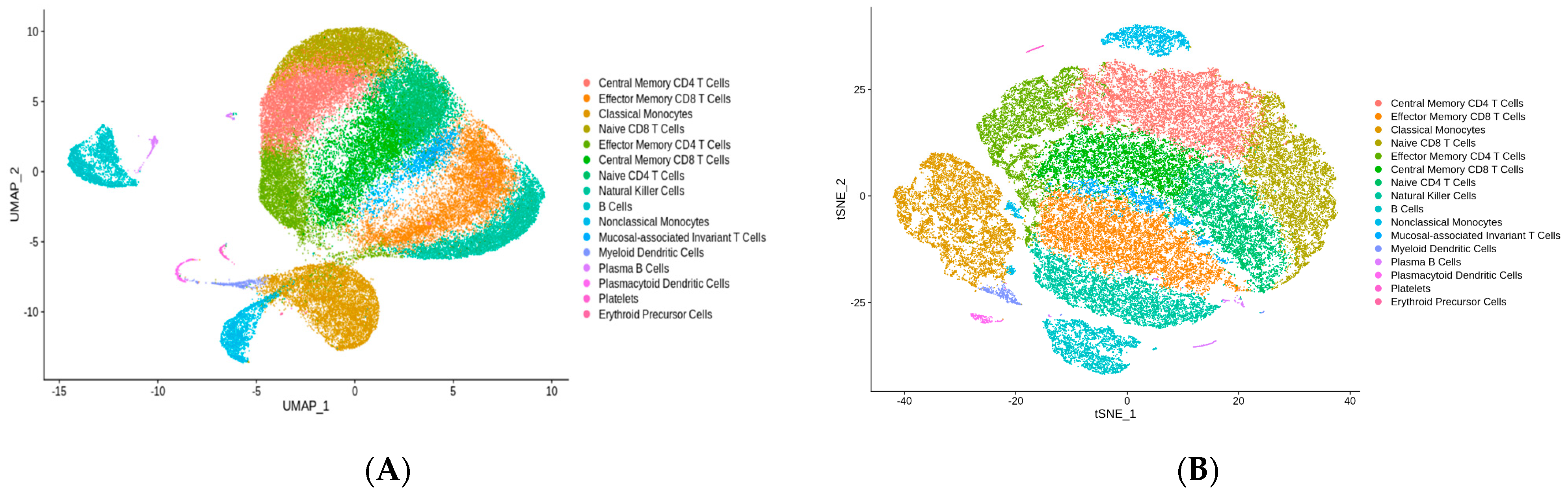 Nutrients 16 01245 g002a Nutrients 16 01245 g002a