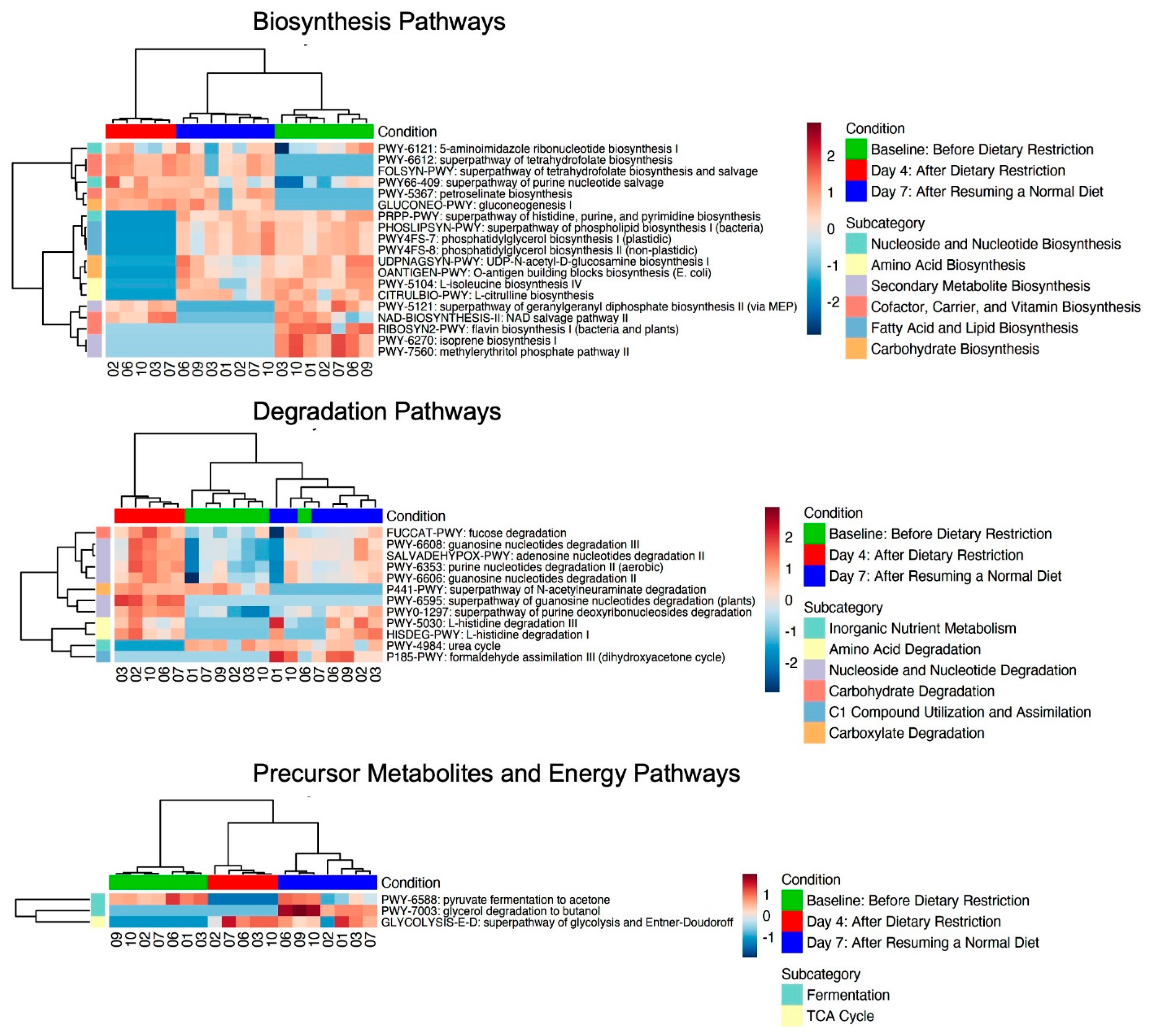 Nutrients 16 01245 g006 Nutrients 16 01245 g006