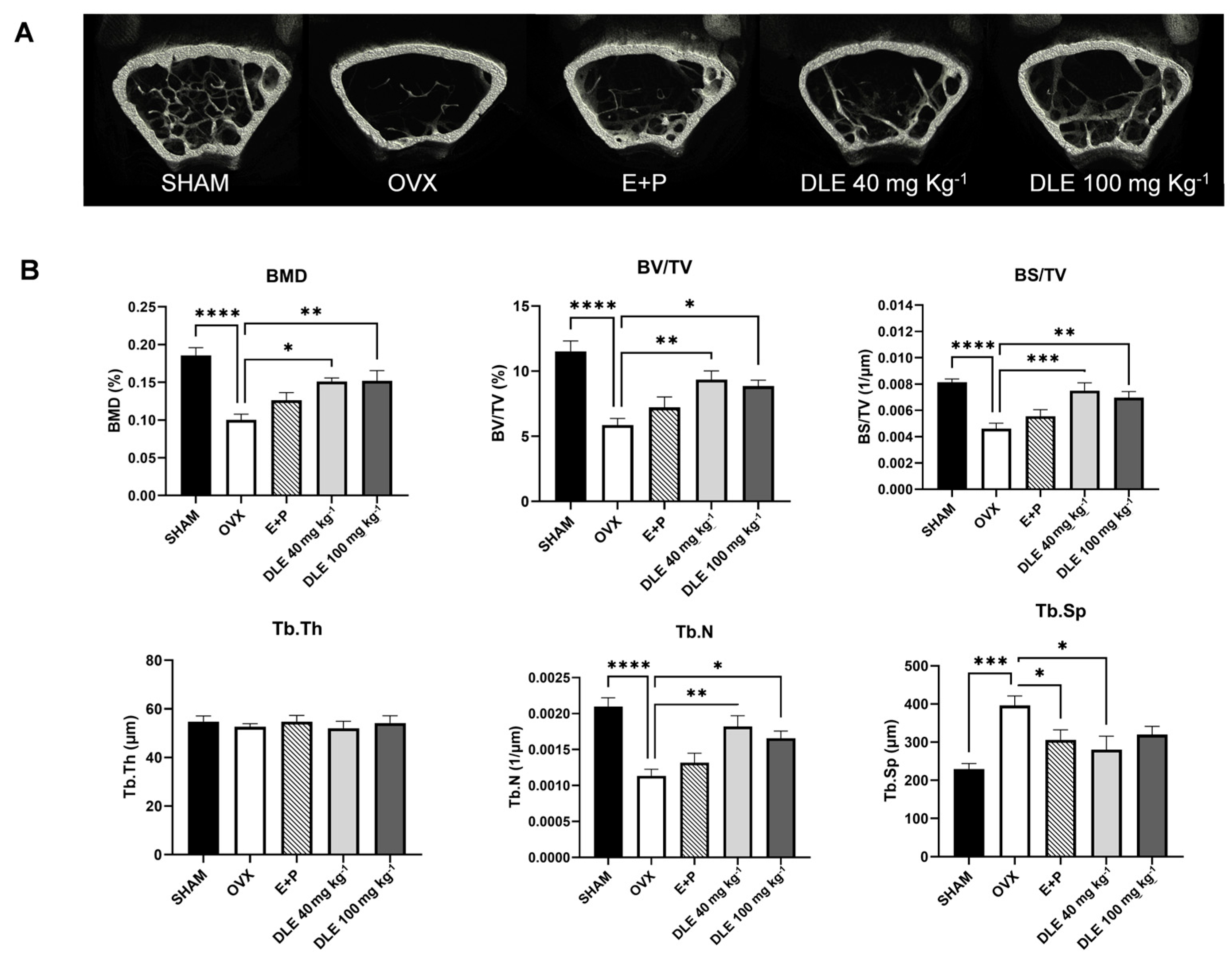 Nutrients 16 01247 g005