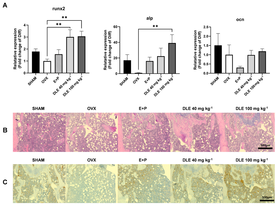 Nutrients 16 01247 g006