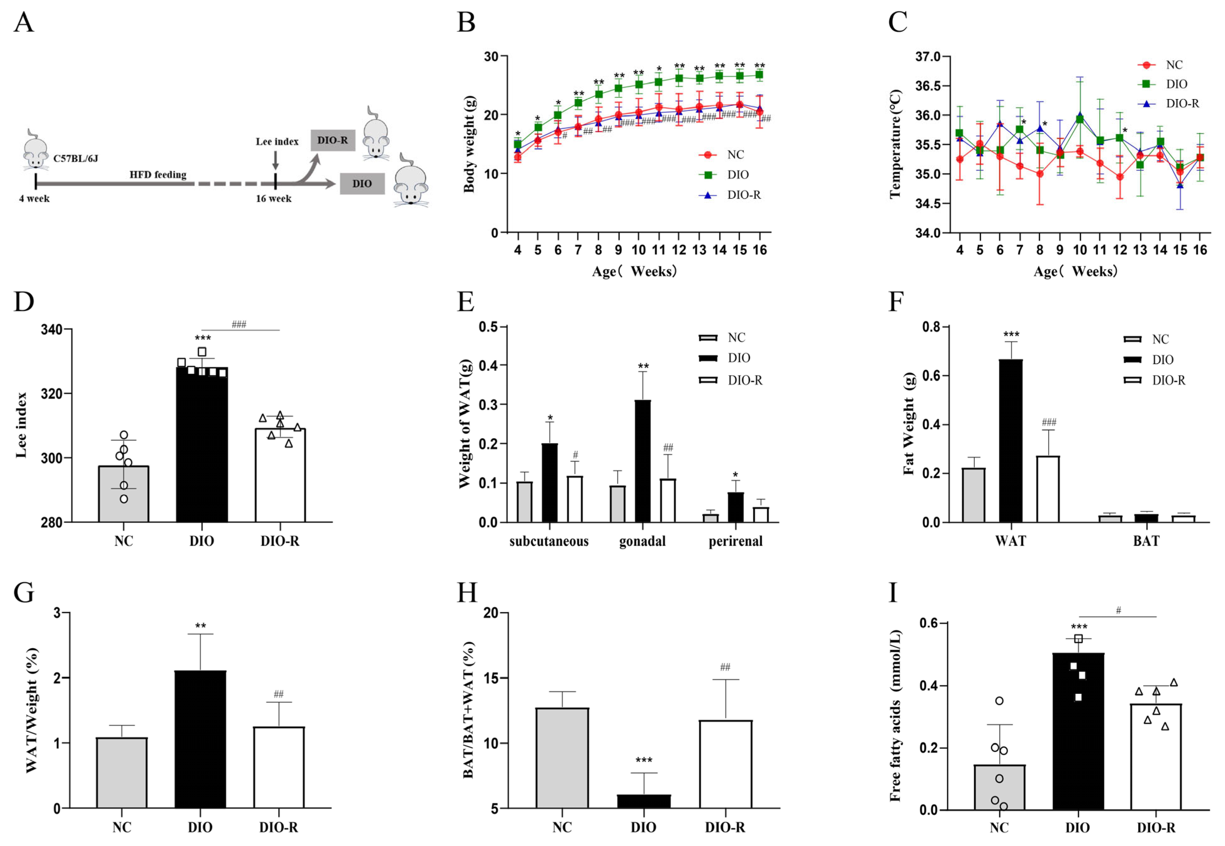 Nutrients 16 01254 g001