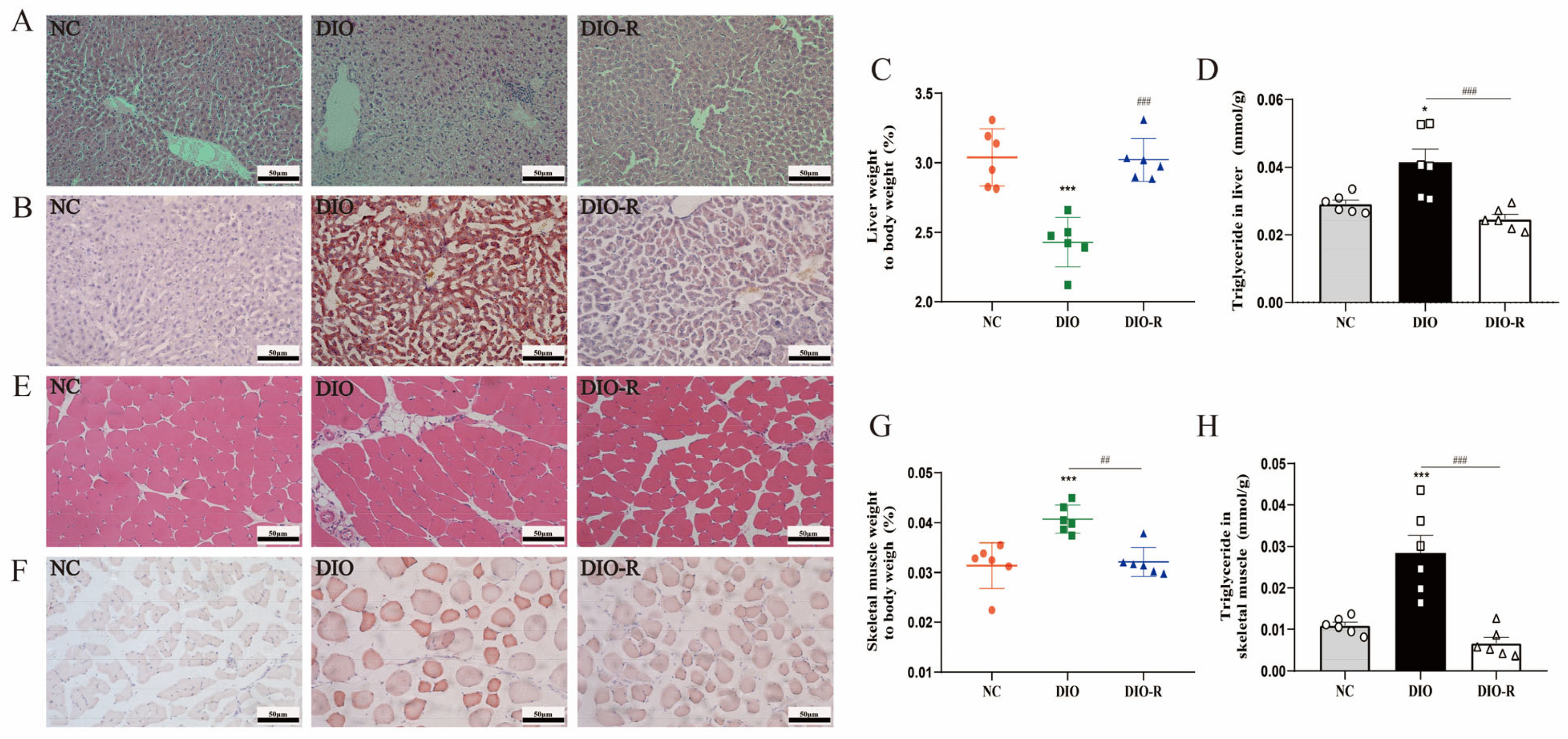 Nutrients 16 01254 g002