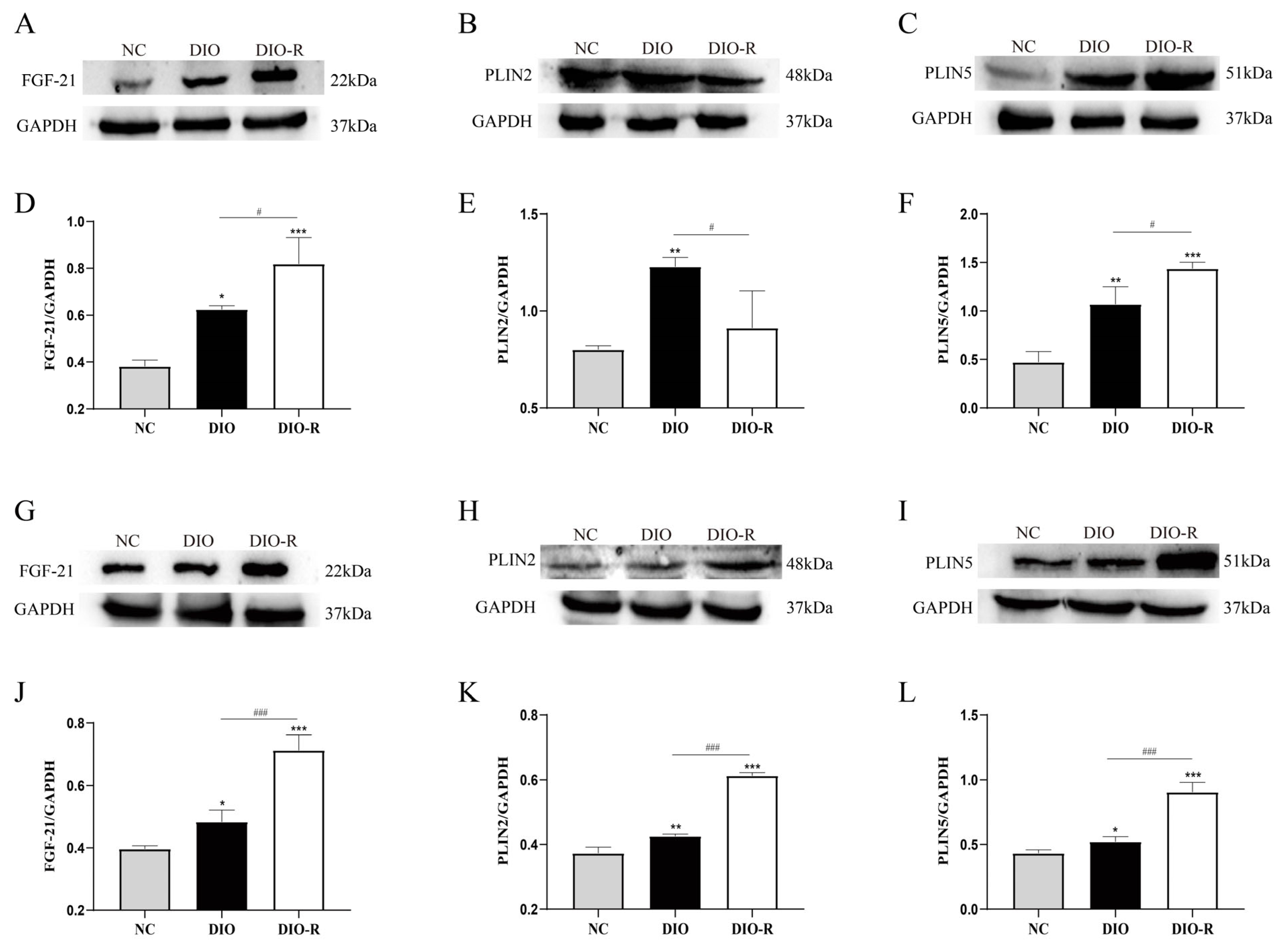 Nutrients 16 01254 g003