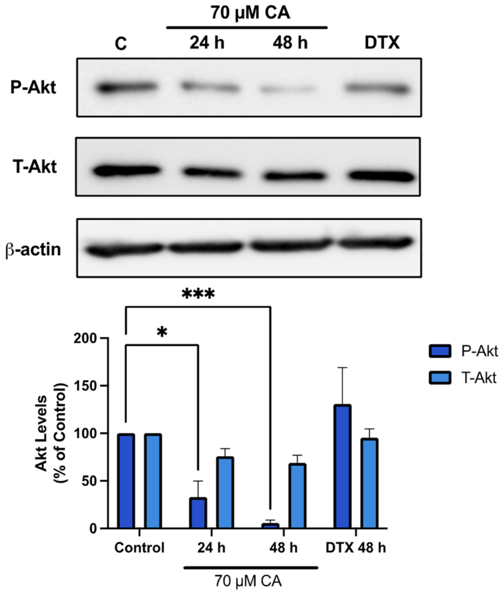 Nutrients 16 01257 g003
