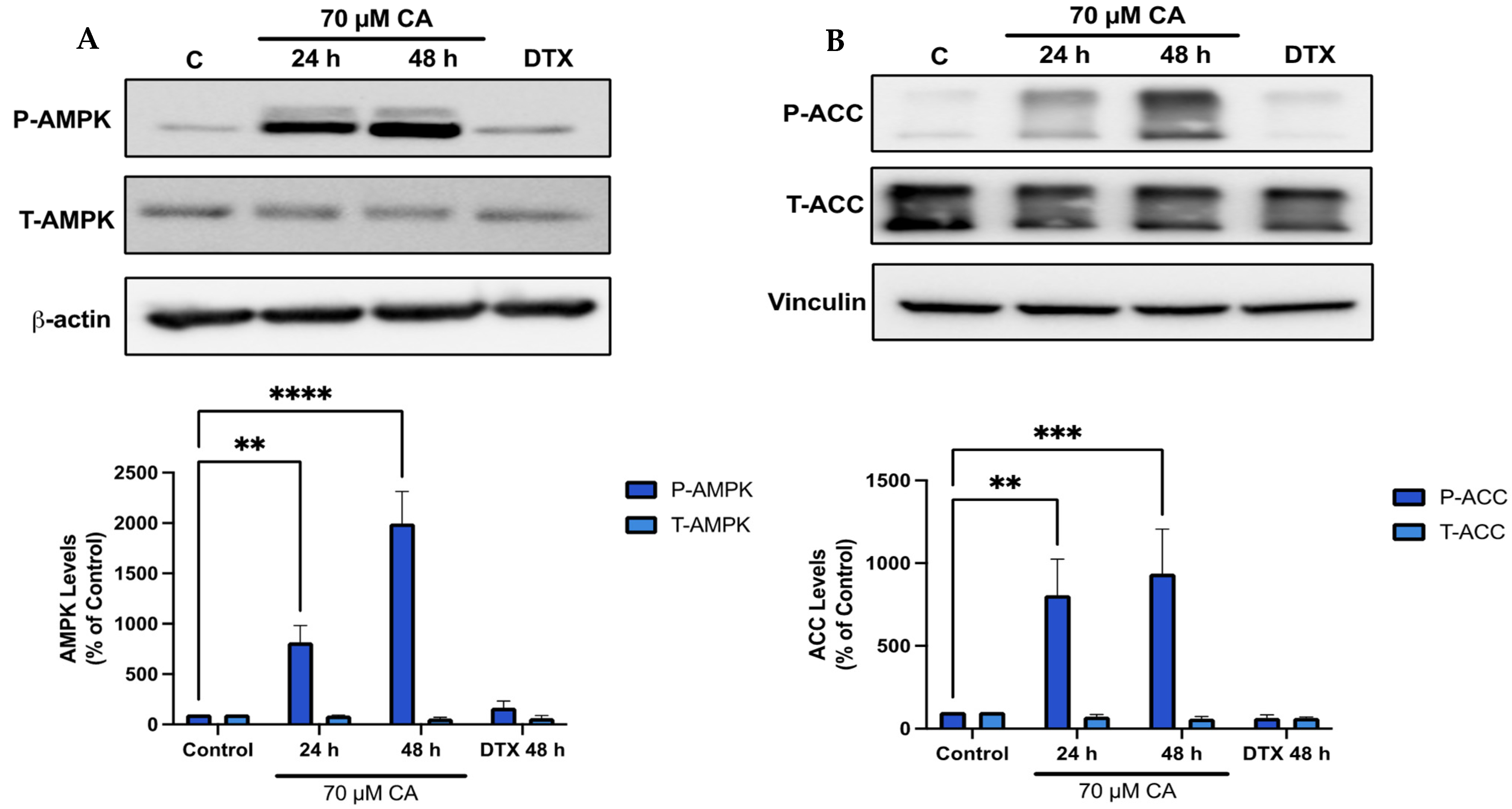 Nutrients 16 01257 g005