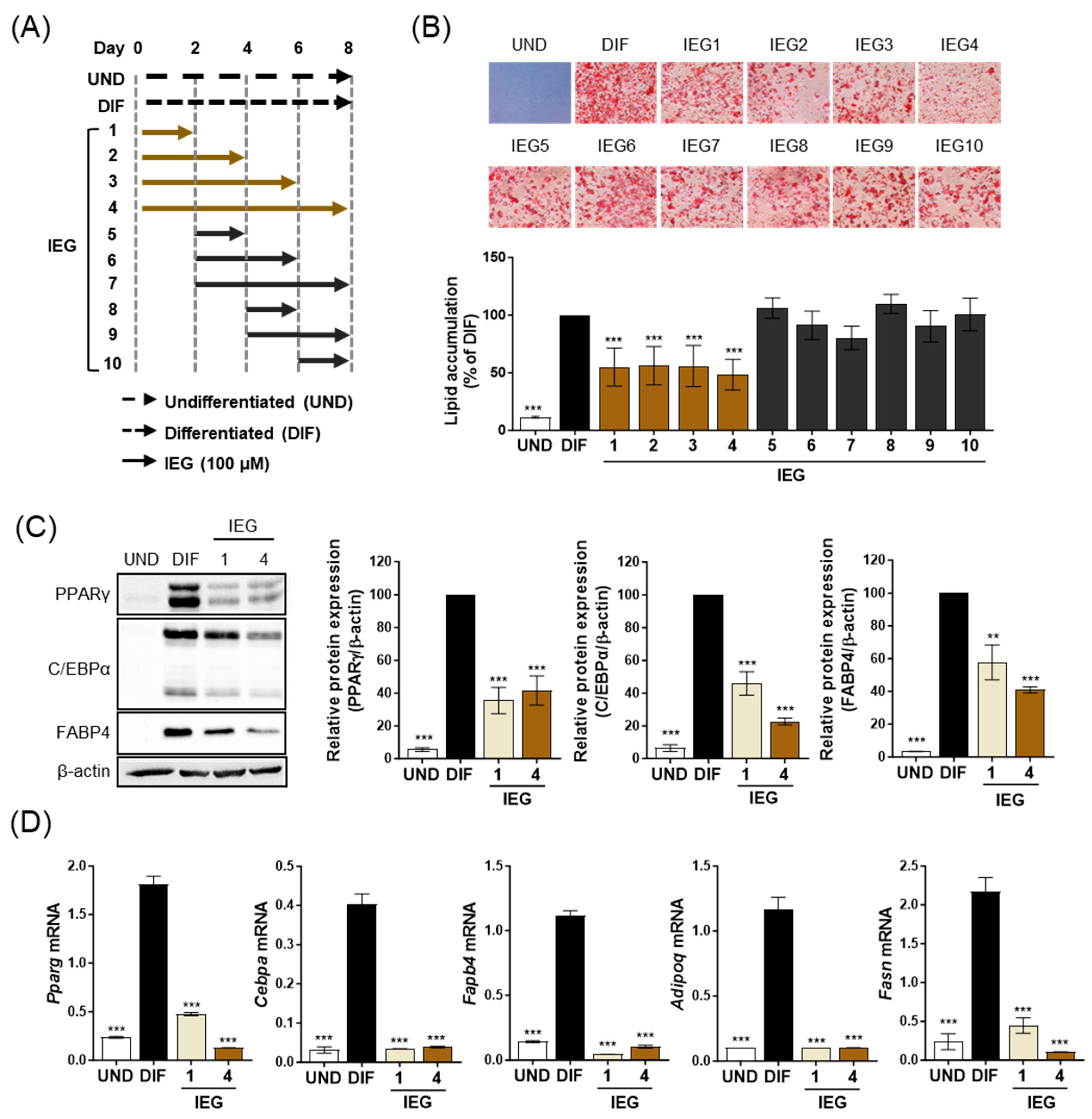 Nutrients 16 01262 g002
