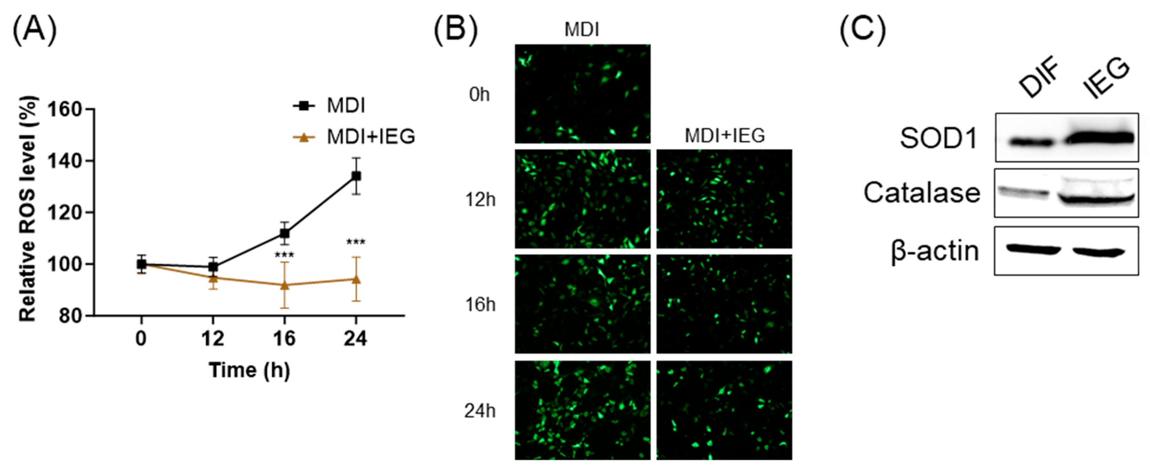 Nutrients 16 01262 g004