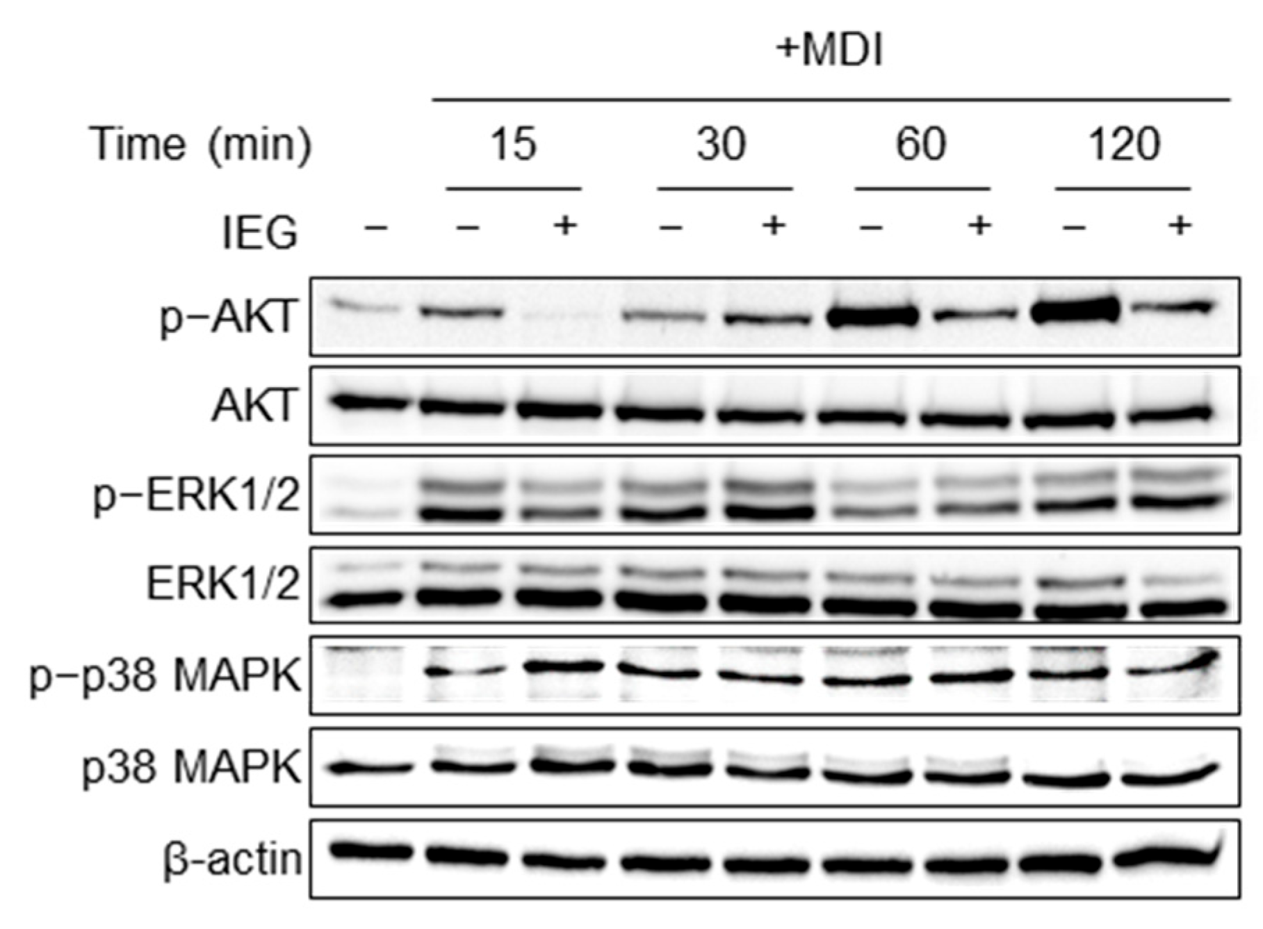 Nutrients 16 01262 g005