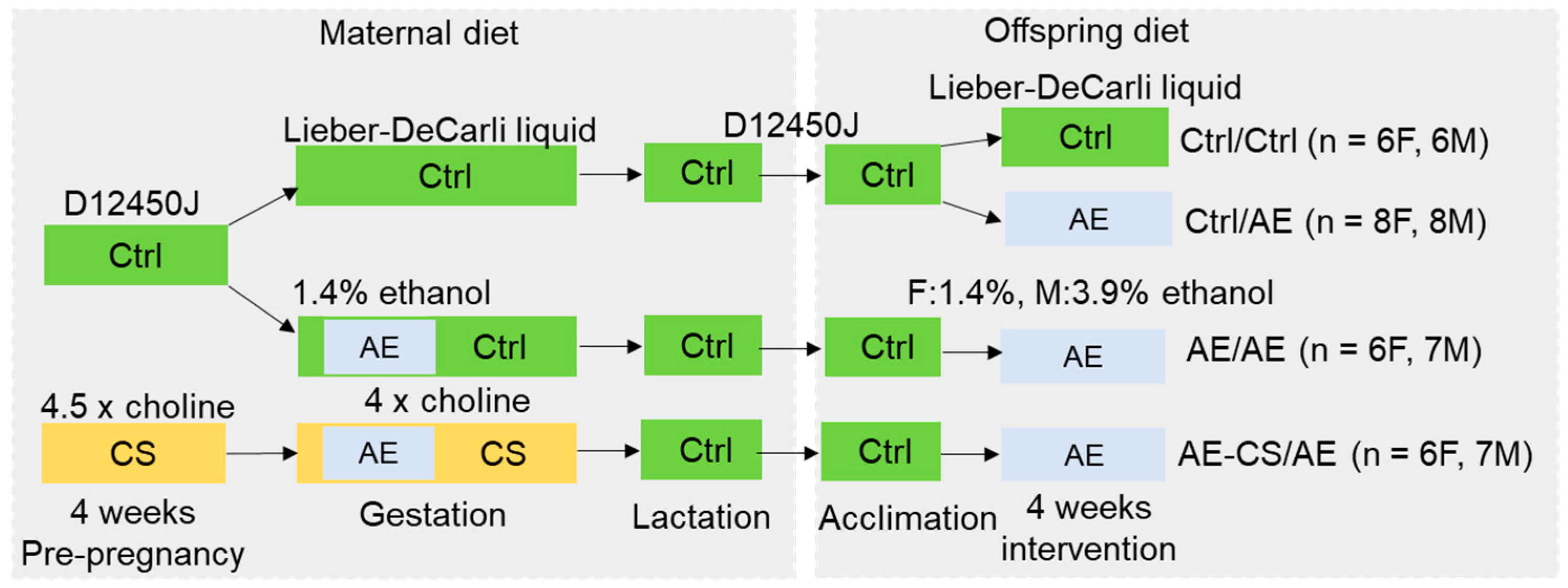 Nutrients 16 01264 g001 Nutrients 16 01264 g001
