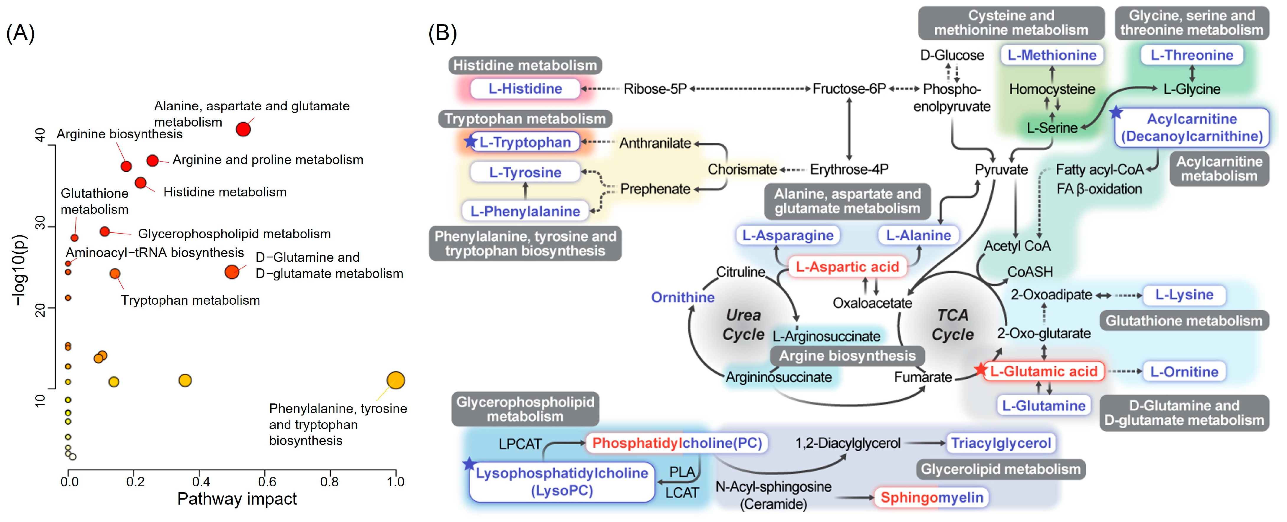 Nutrients 16 01265 g004
