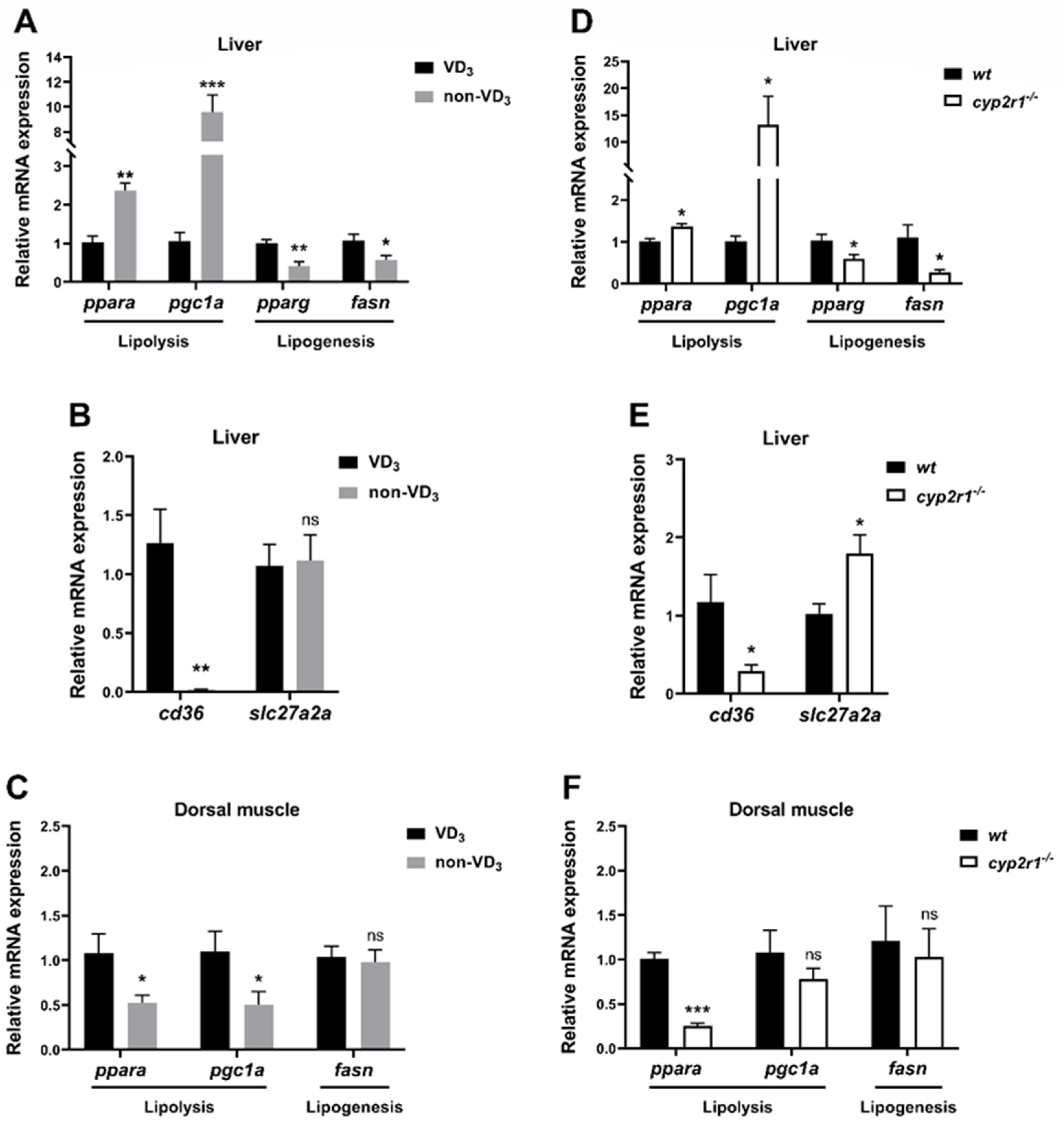 Nutrients 16 01271 g004