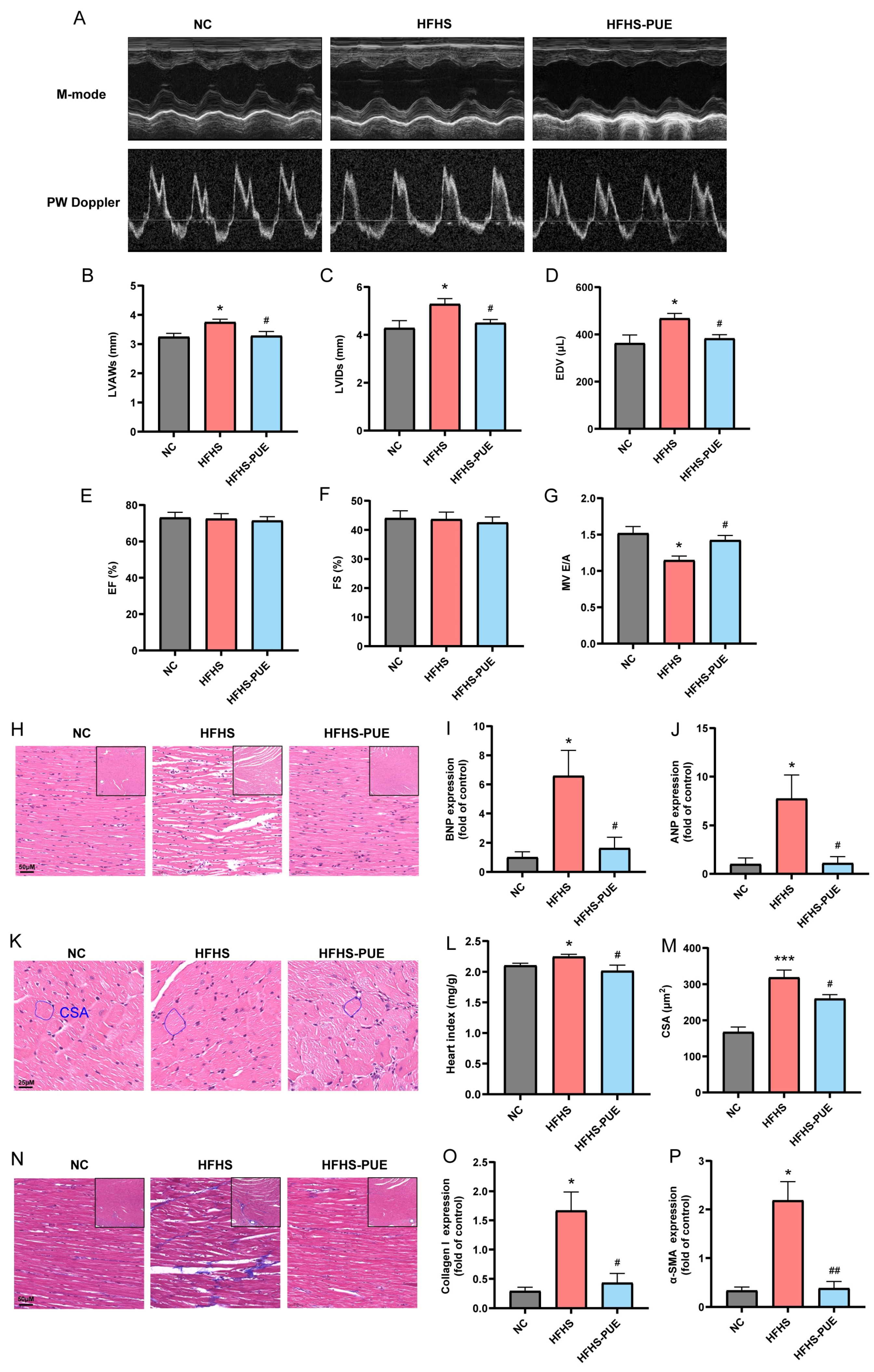 Nutrients 16 01273 g003