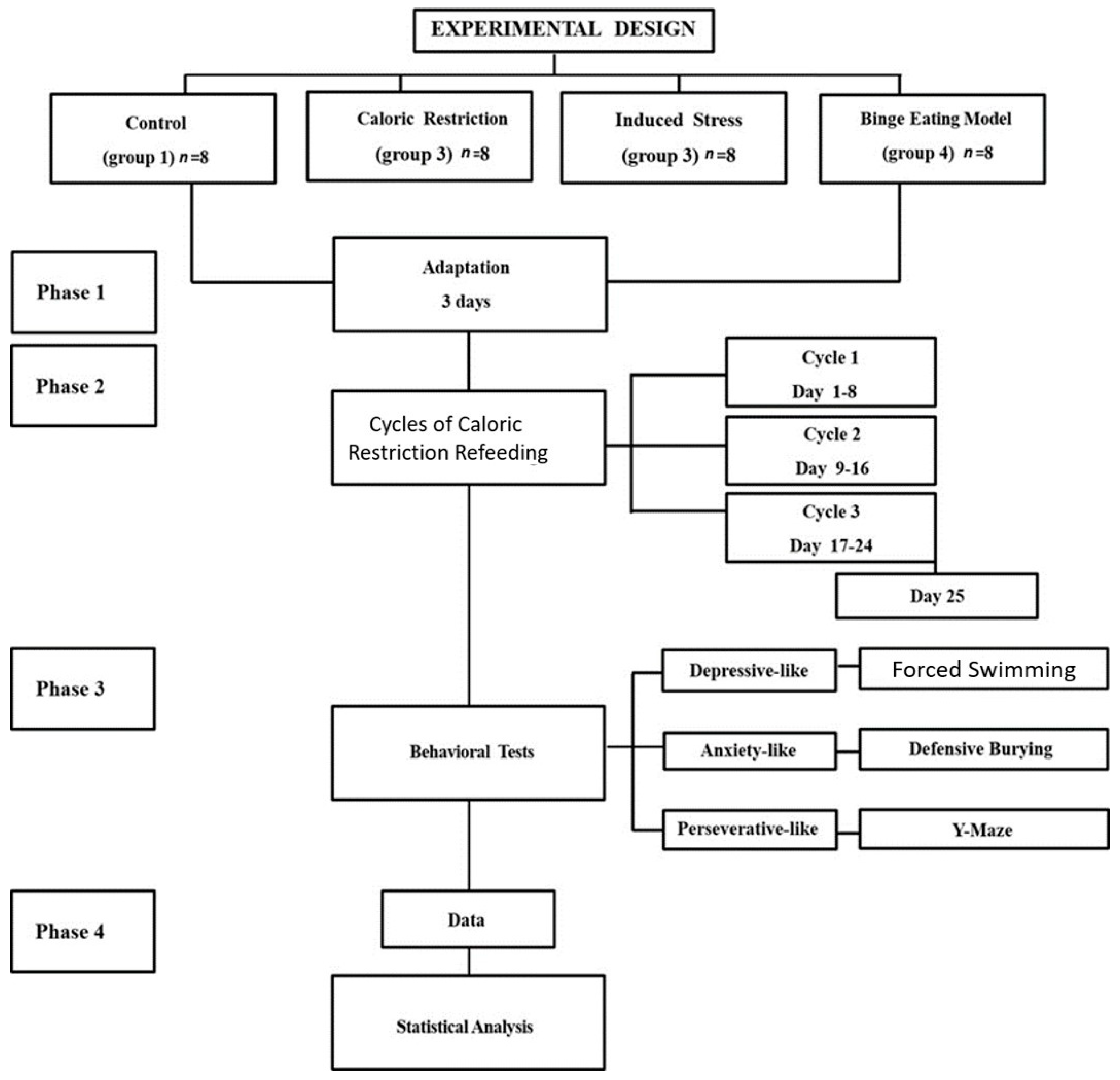 Nutrients 16 01275 g001