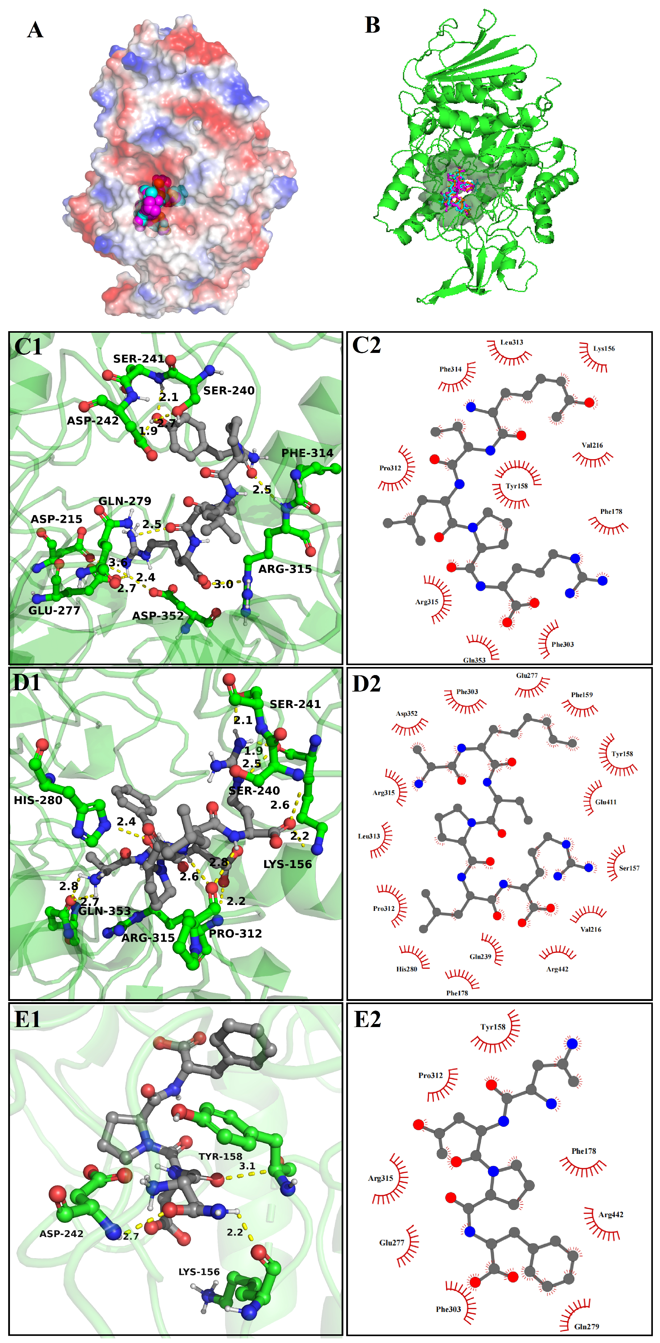 Nutrients 16 01279 g004