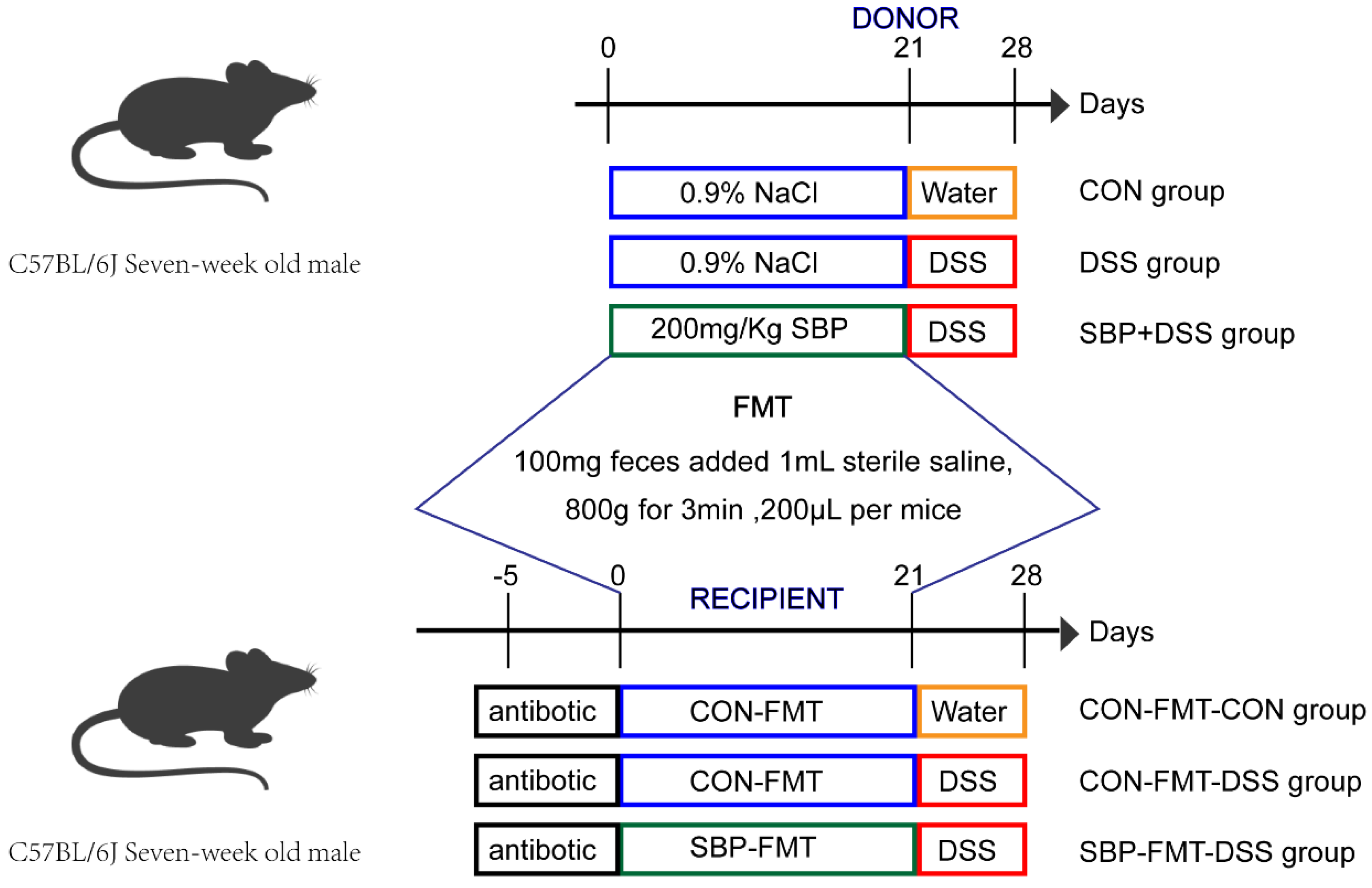 Nutrients 16 01280 g001