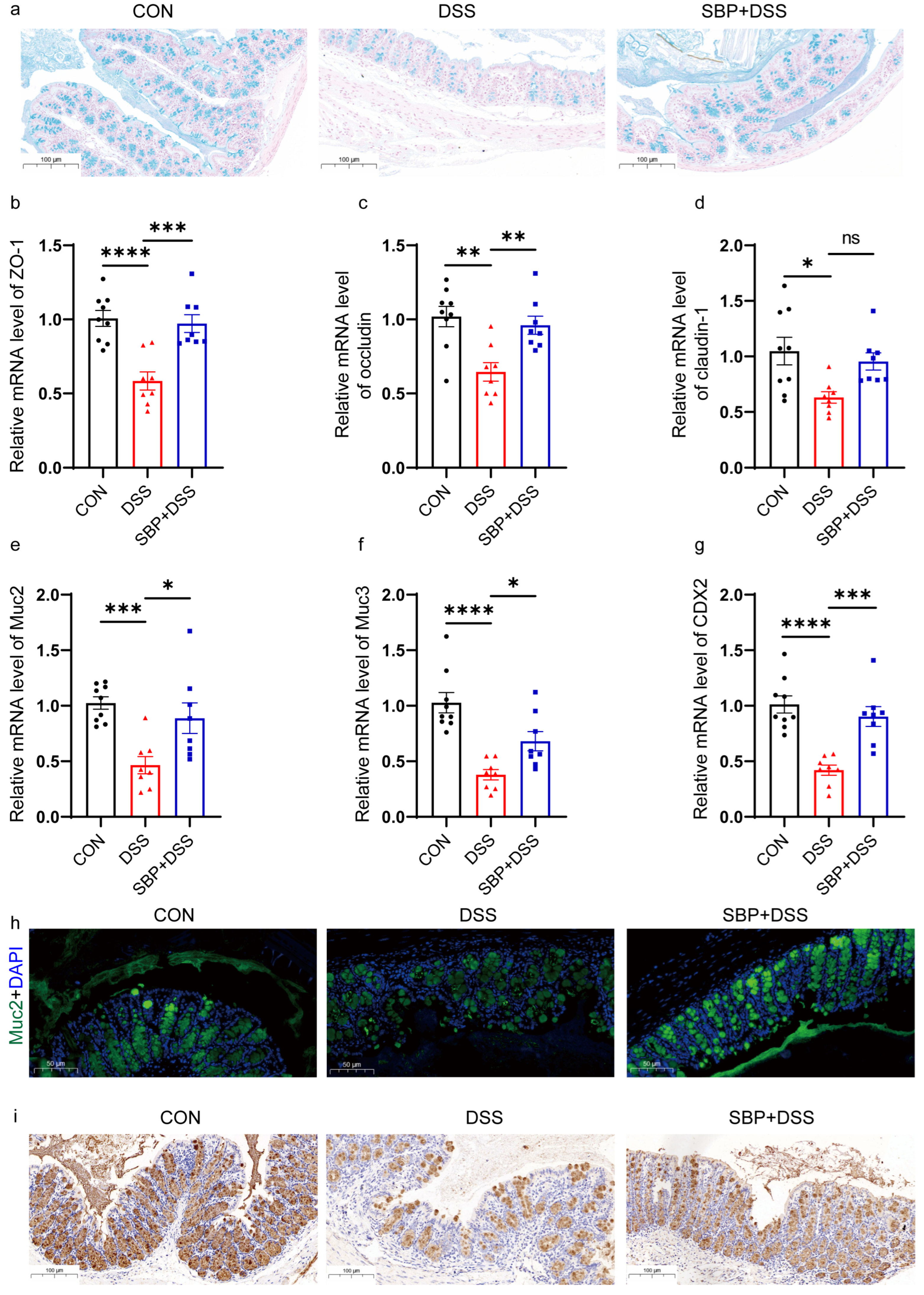 Nutrients 16 01280 g005