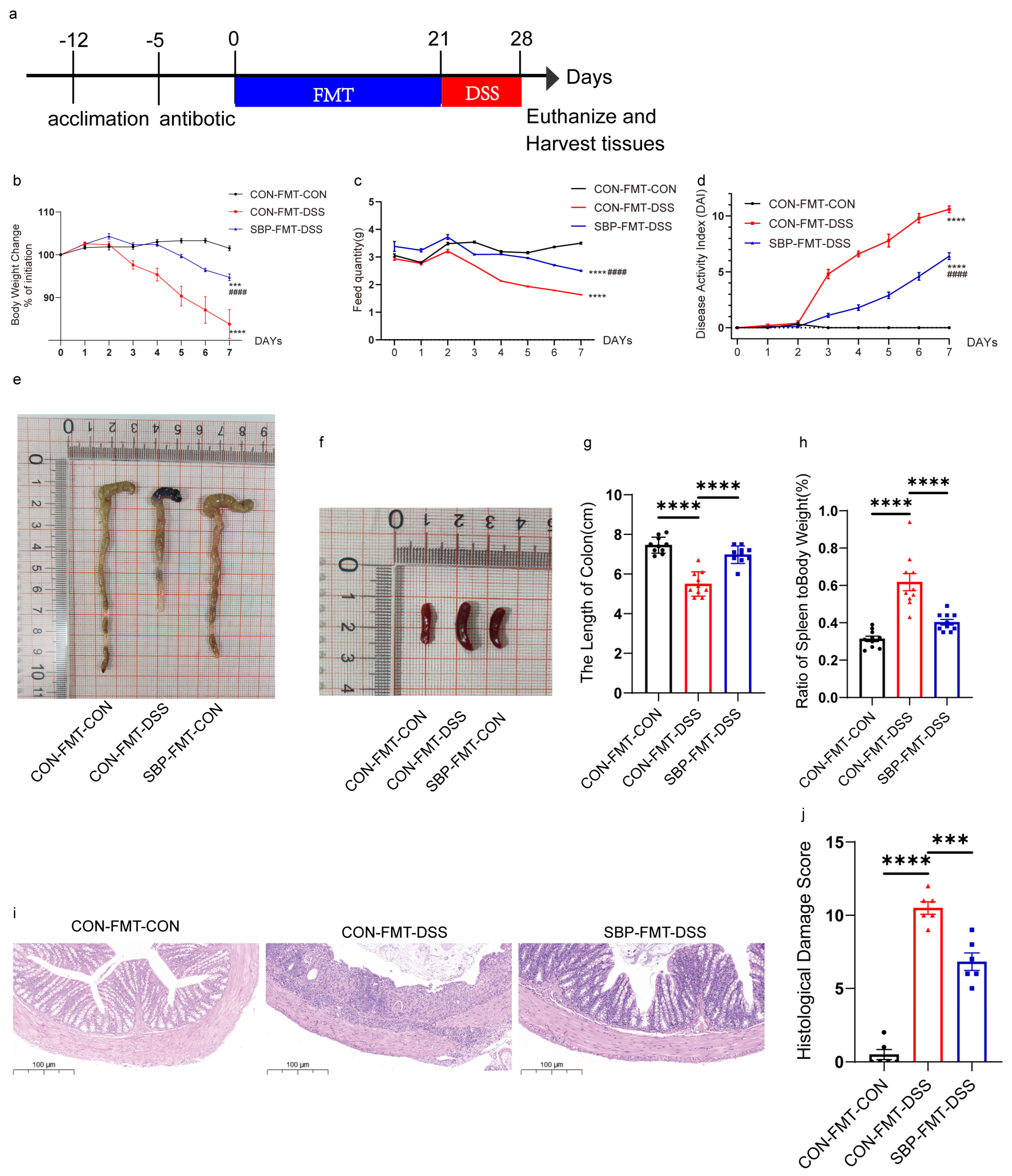 Nutrients 16 01280 g009