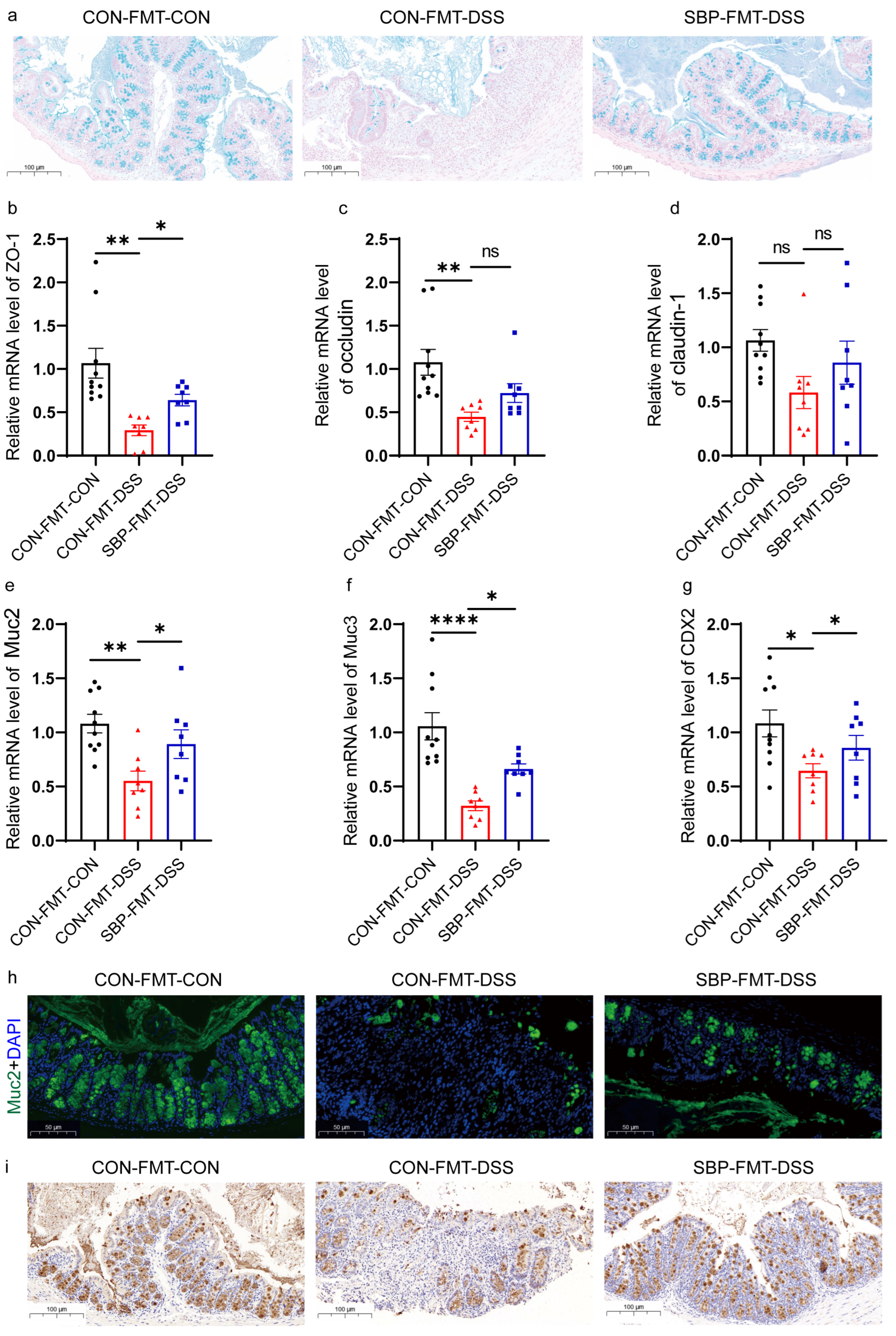 Nutrients 16 01280 g012
