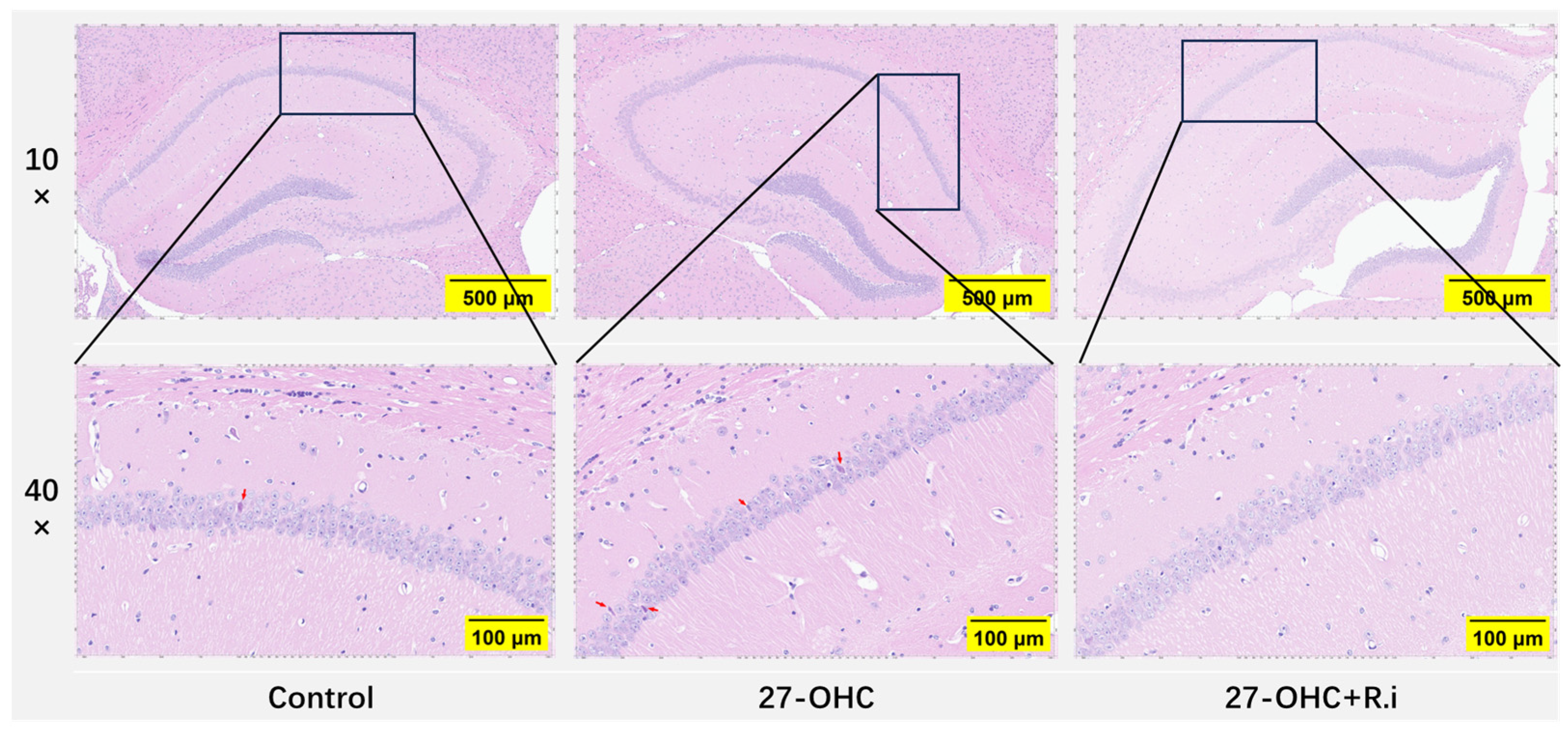 Nutrients 16 01288 g008