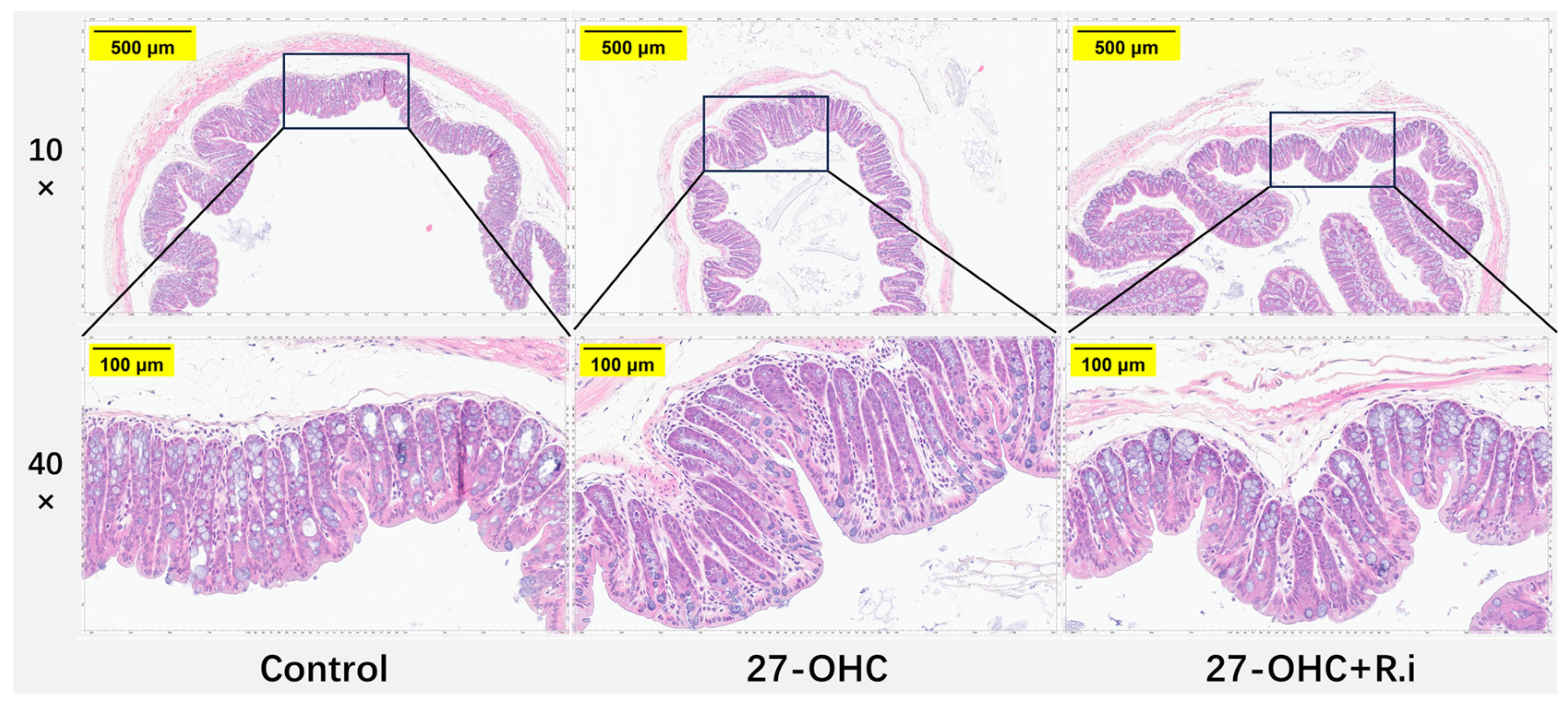 Nutrients 16 01288 g013