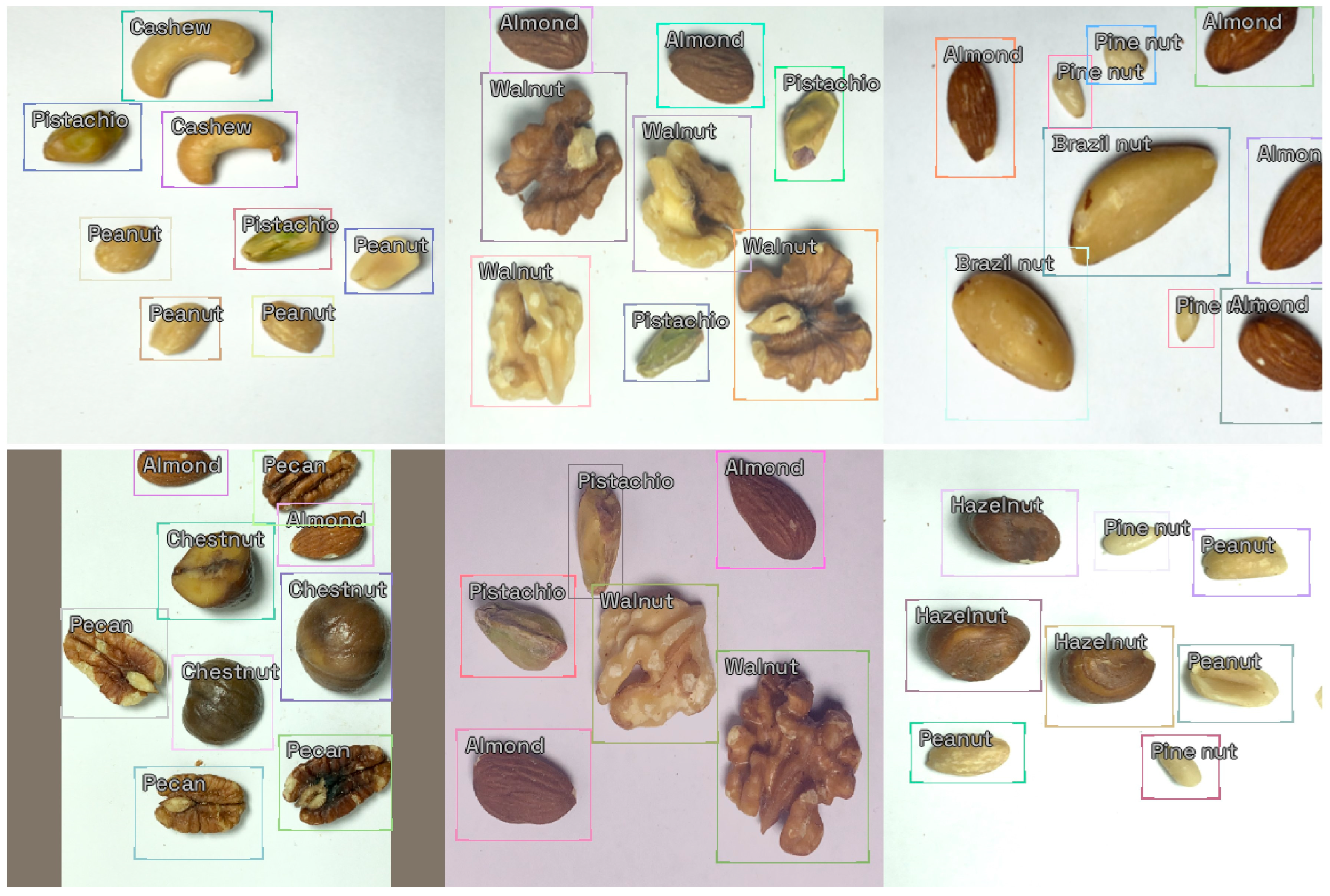 Nutrients 16 01294 g001